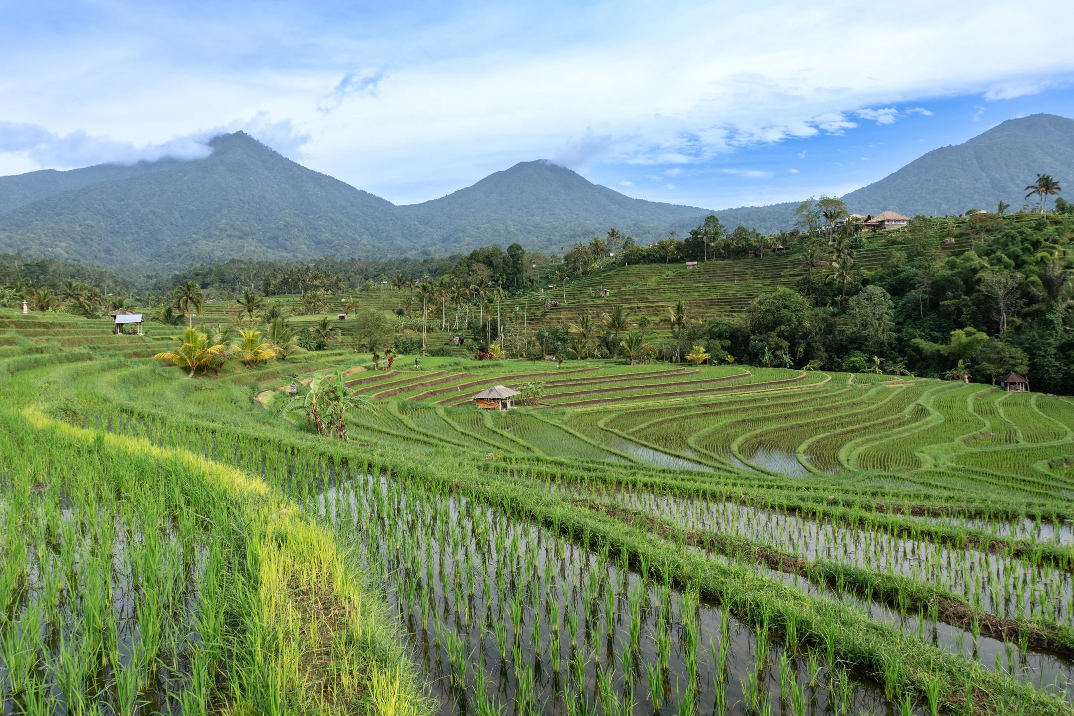 Bali Beyond the Beaches