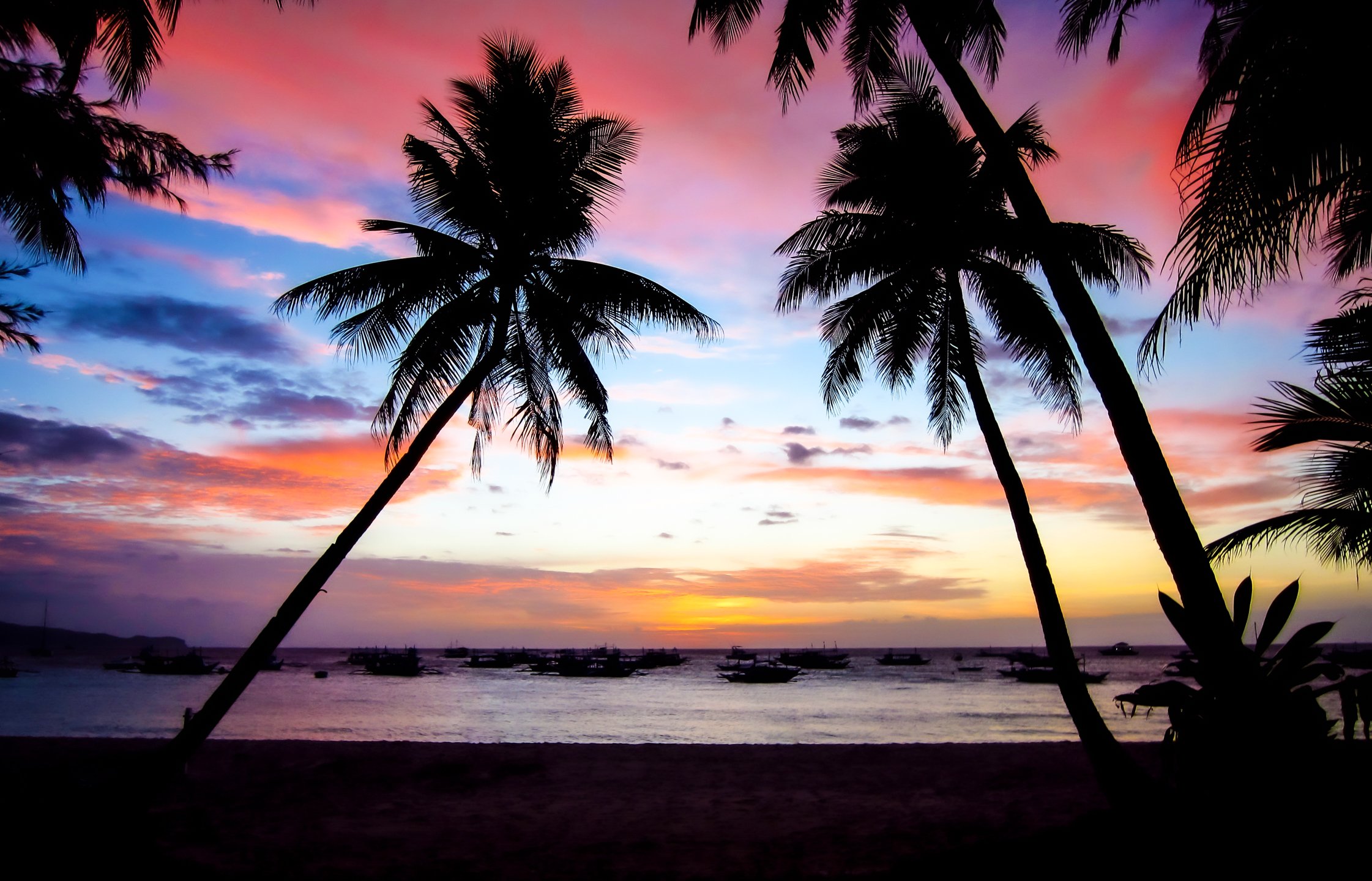 Silhouetted palm trees framing a vivid sunset over White Beach in shades of blue, pink, orange, and violet, Boracay, Philippines