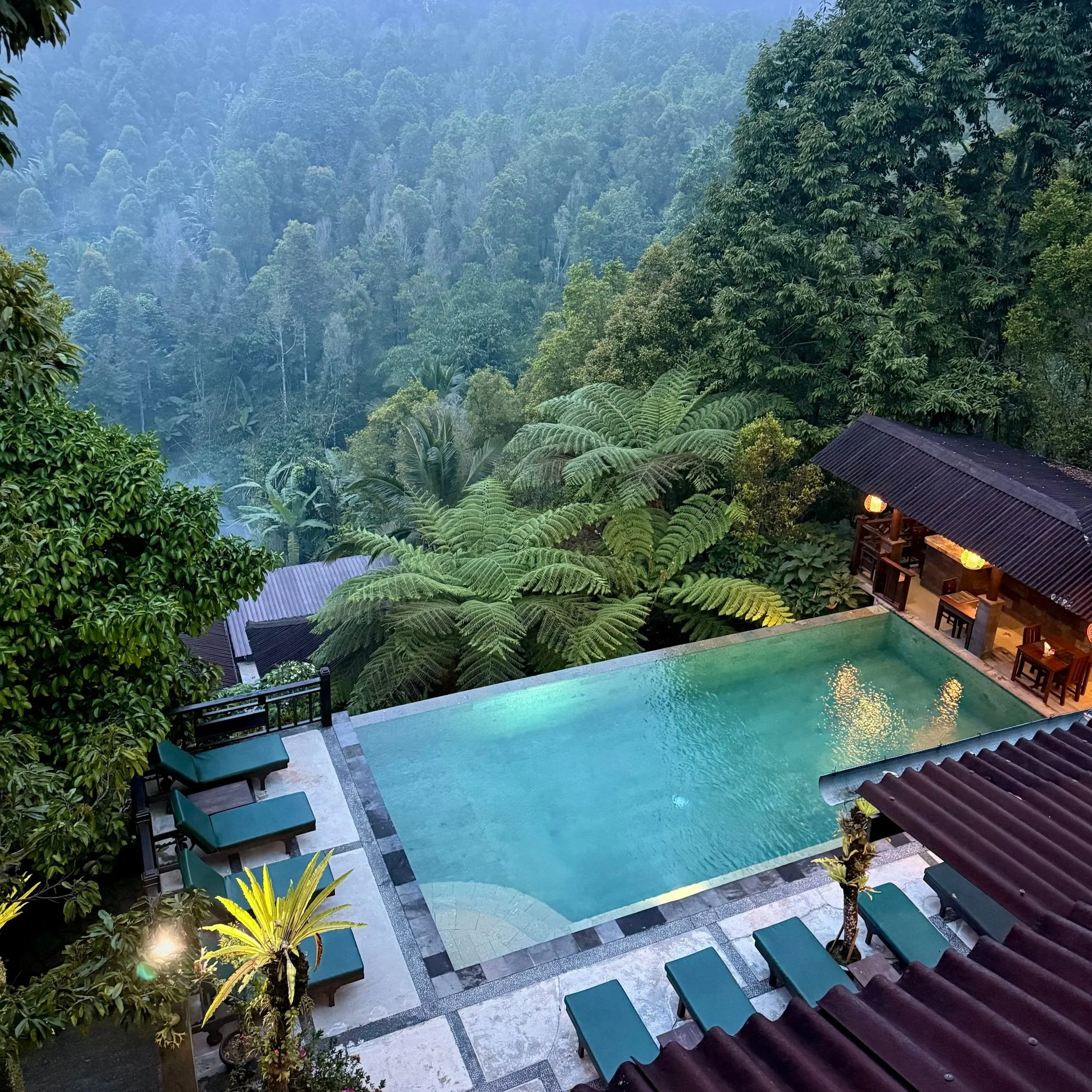 Illuminated infinity pool glowing blue-green at dusk overlooking a misty jungle valley, viewed from hotel balcony, Munduk, Bali, Indonesia