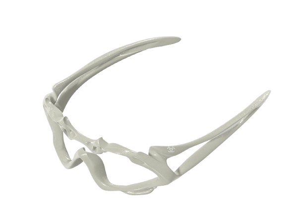 BONE-B1