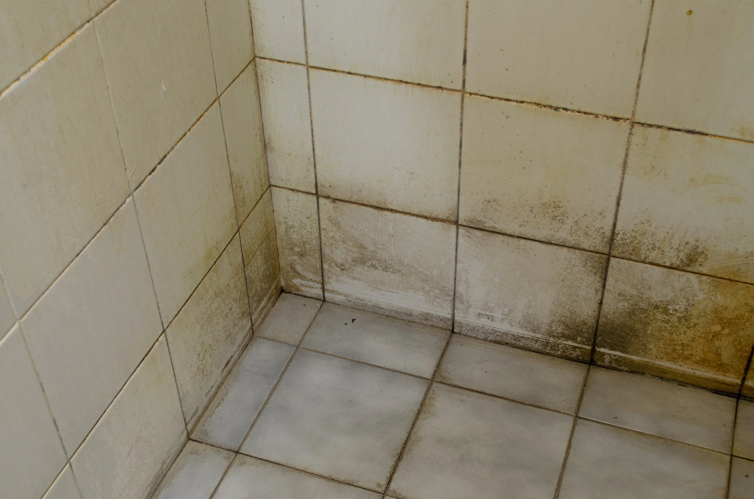 Dirty, stained bathroom corner with beige tiles that have grime and mold buildup.