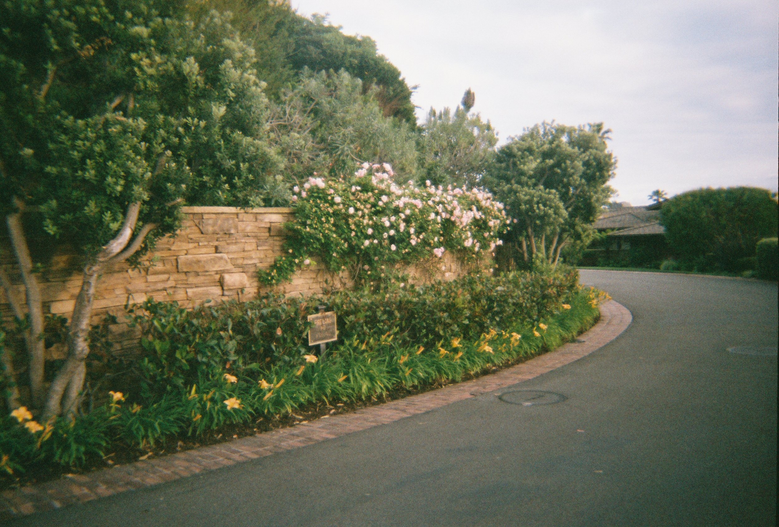 IMG_5670.JPG