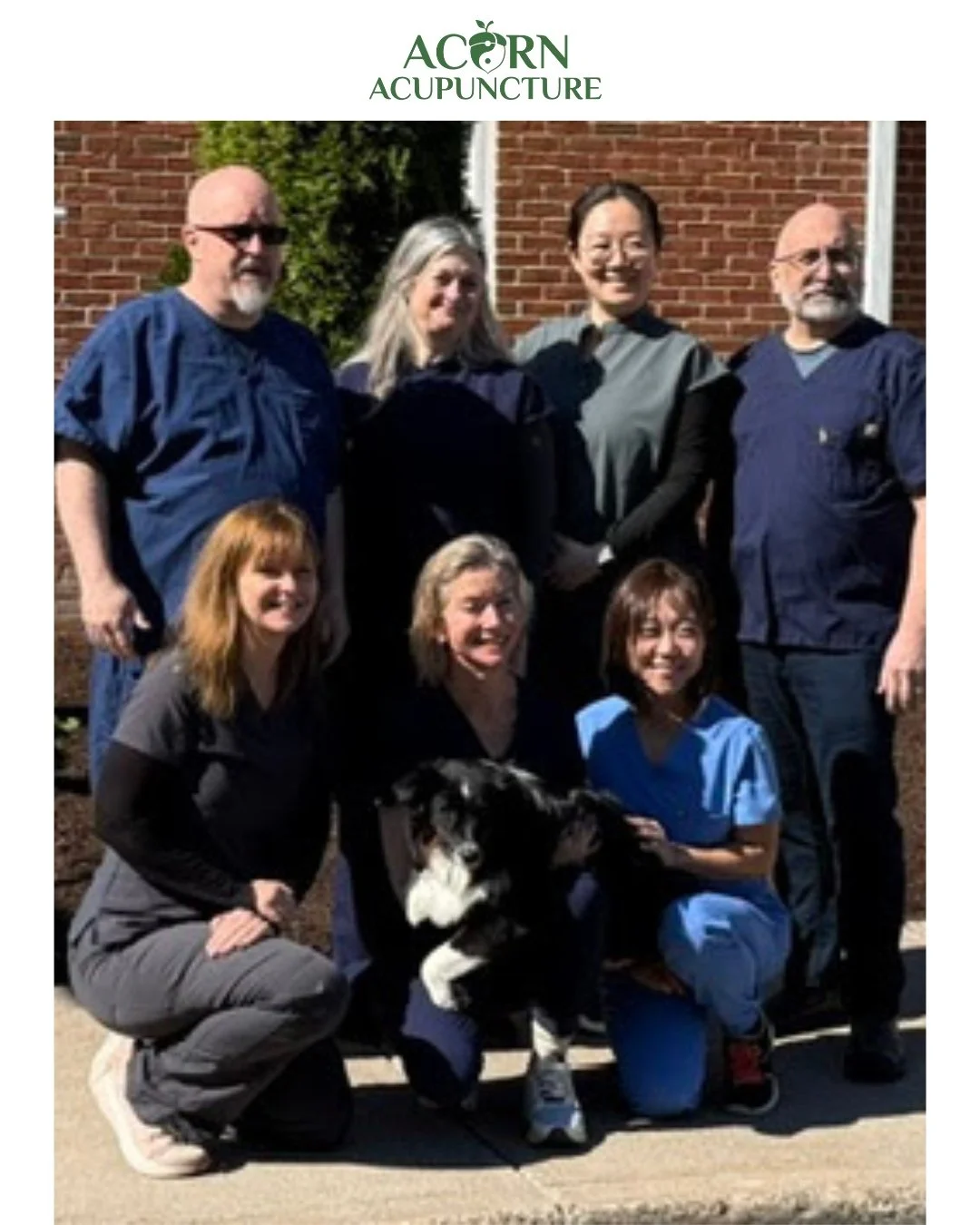 Behind every treatment is a team dedicated to helping patients feel their best. ✨

At Acorn Acupuncture, our experienced practitioners are passionate about providing personalized care in a calm, supportive environment. We are proud to help our commun