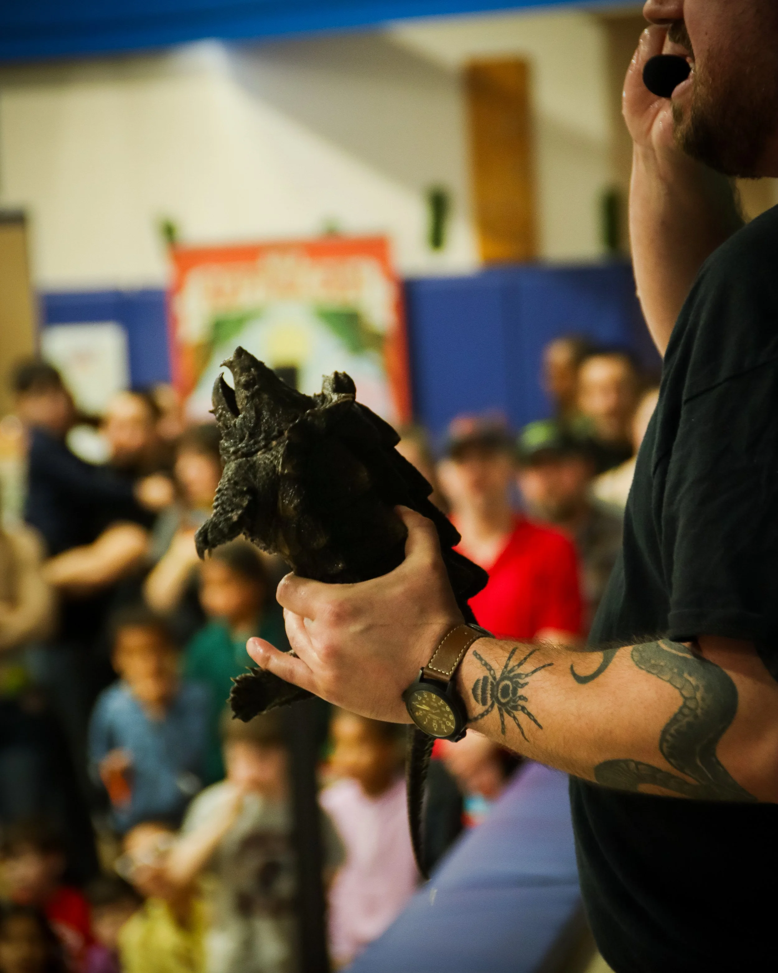 Reptile Den Day 2026!