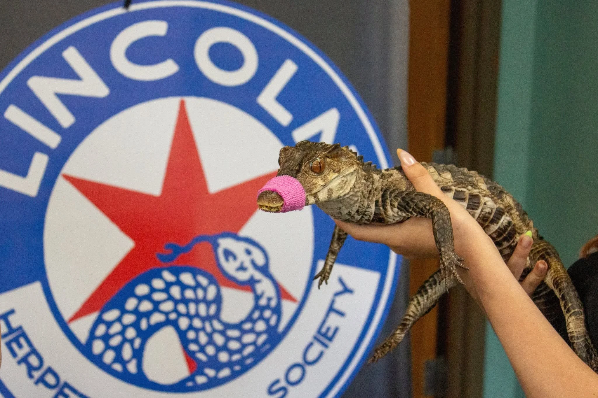JULY 13TH LINCOLN HERP MEETING 