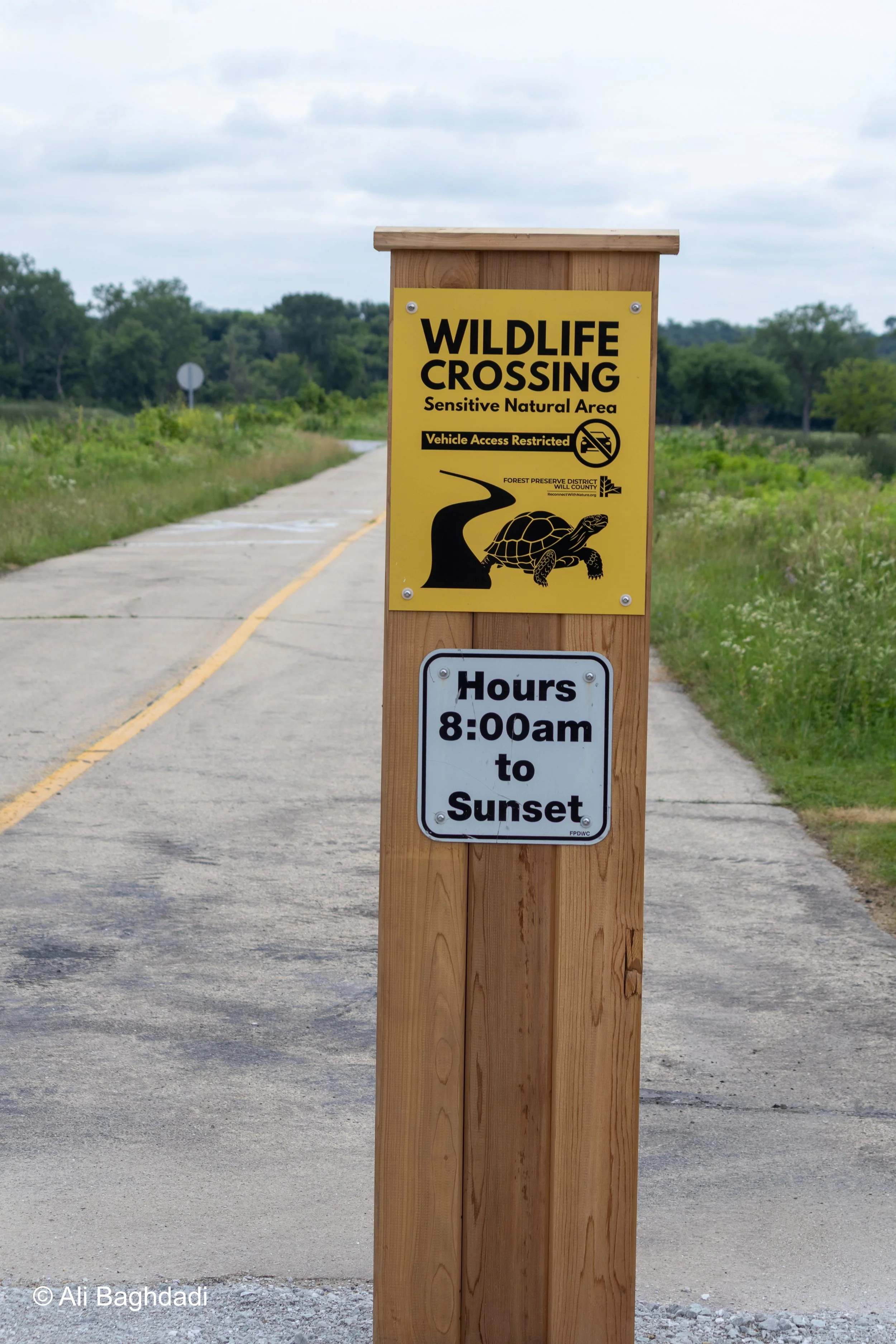 Protecting Illinois’ Turtle Road