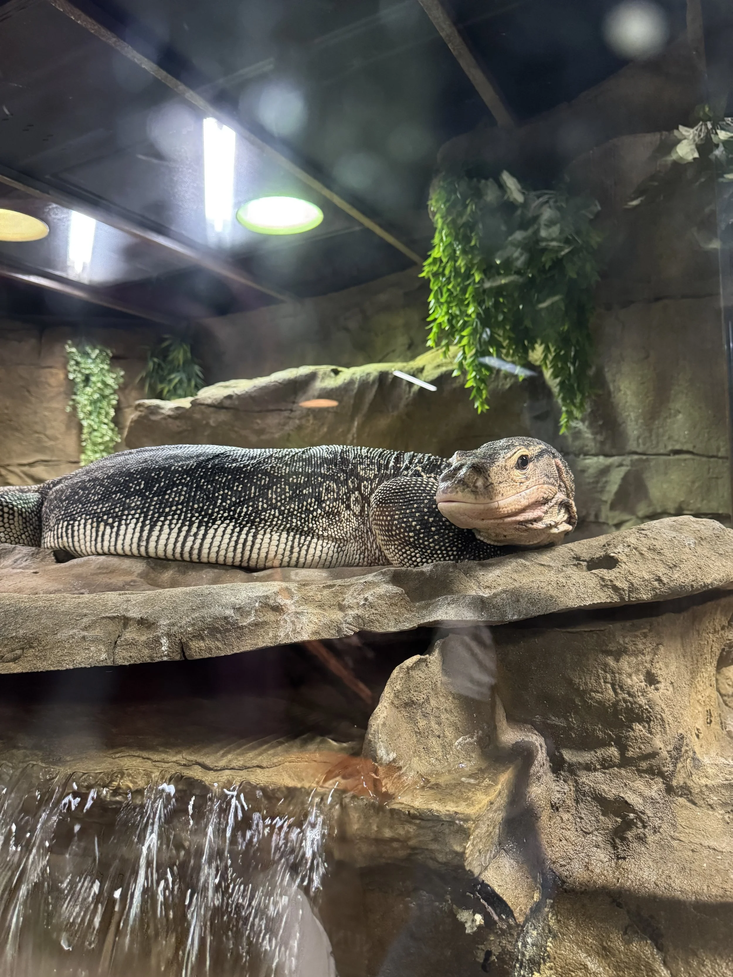 IMG_1600.jpeg