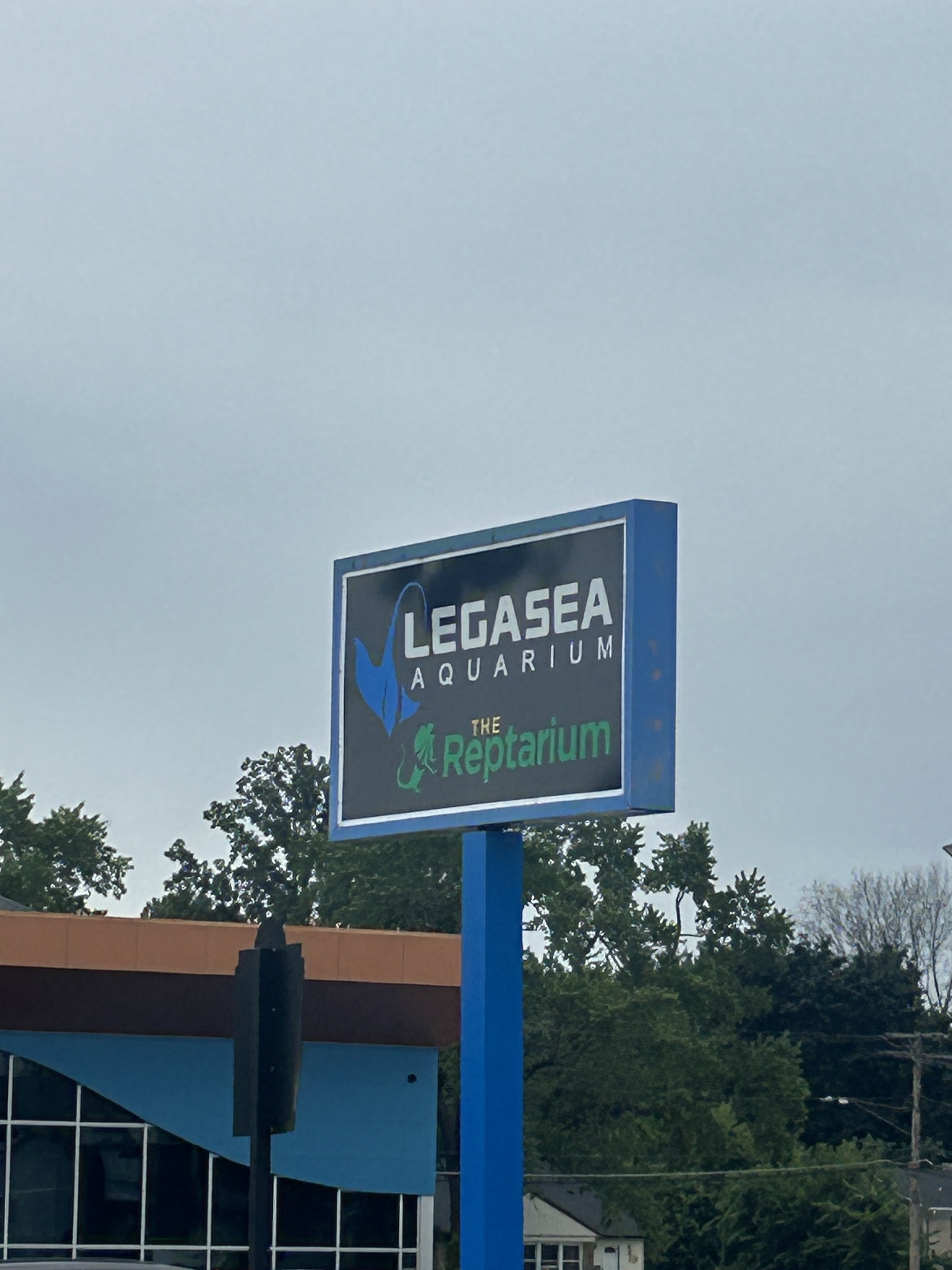 LegaSea Aquarium Visit