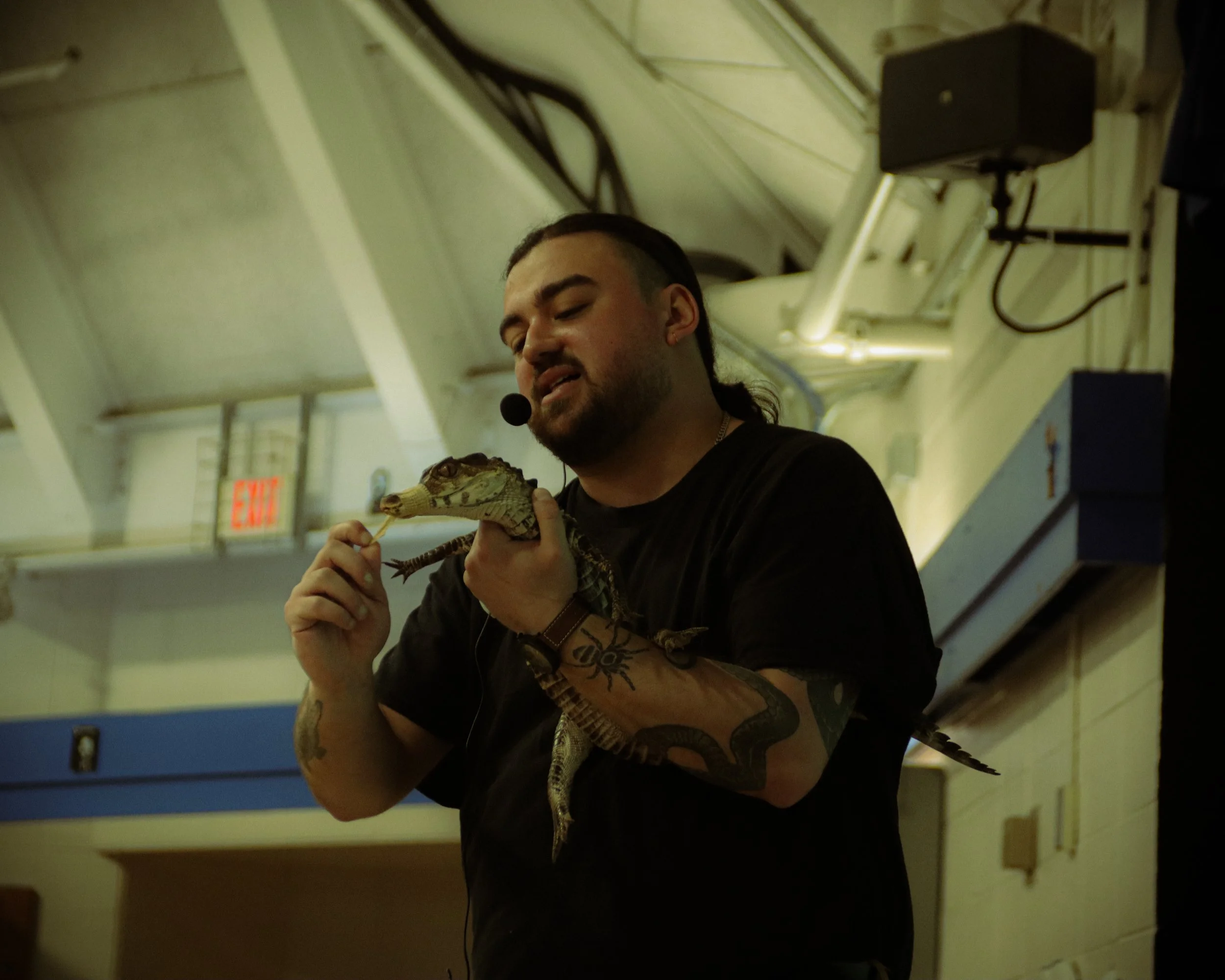 A man with tattoos on his arms, wearing a black shirt, holding and interacting with a small iguana, possibly during a presentation or demonstration indoors.