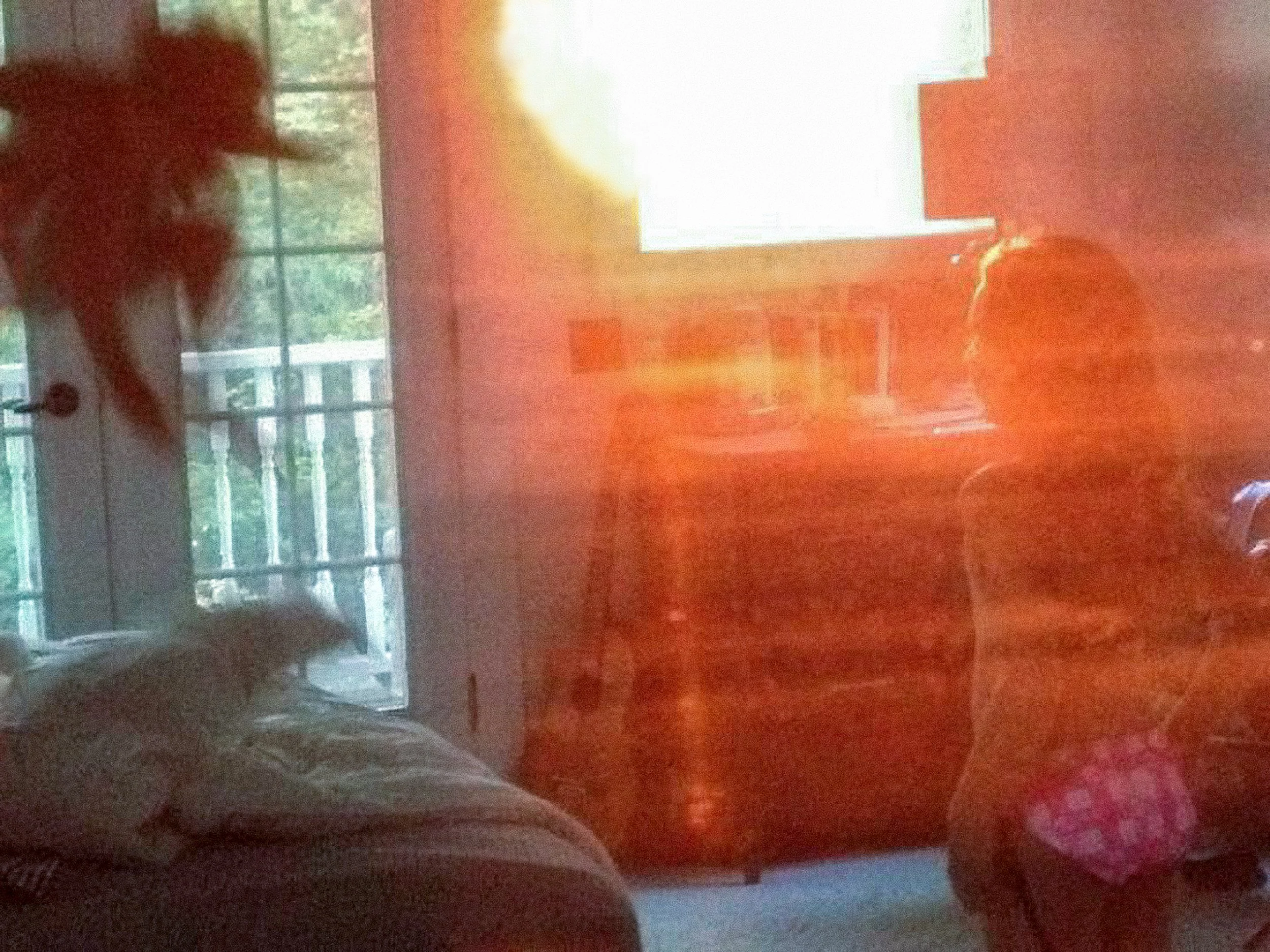 Axel and Penleope sunset jump on bed-Edit.jpg