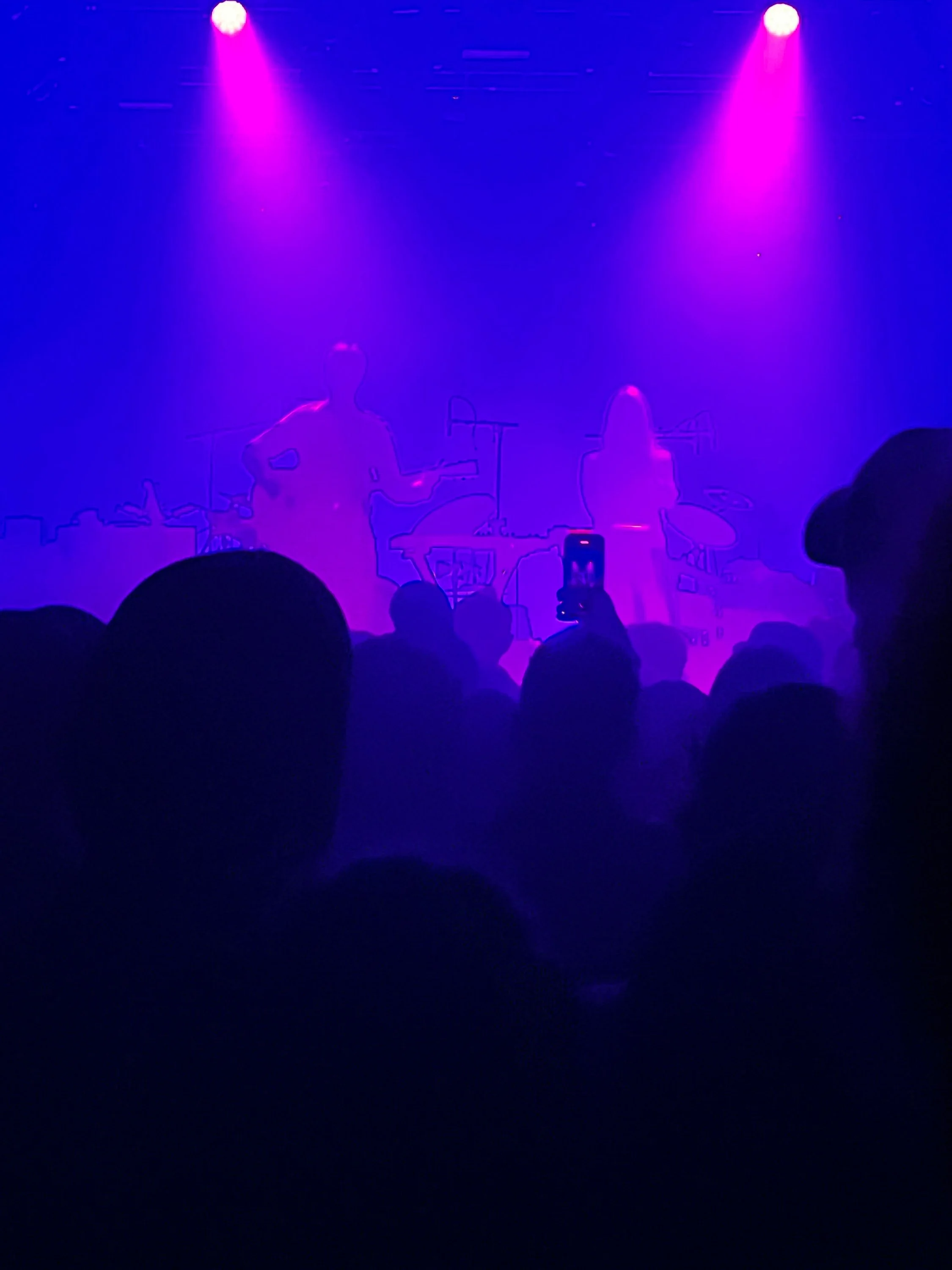 Silhouettes of two musicians on stage, one with a guitar and the other with a microphone, illuminated by purple and pink stage lights, with audience members in the foreground.