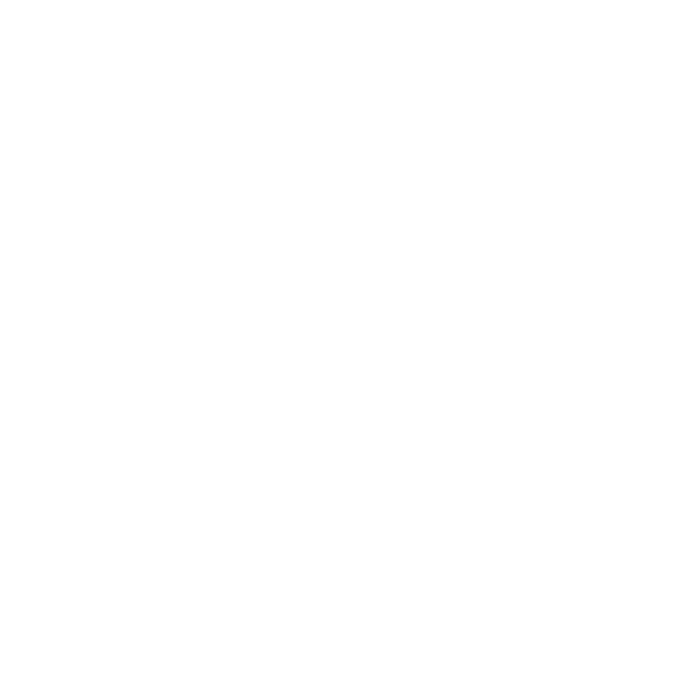 Icon of a person with arms raised, a star above, and lines indicating excitement or achievement, all inside a circle.