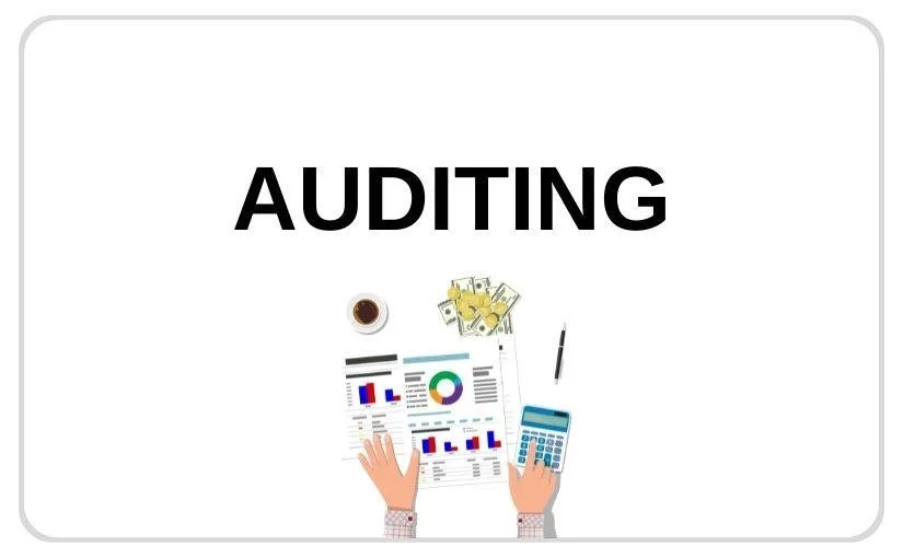 Auditing under Income Tax