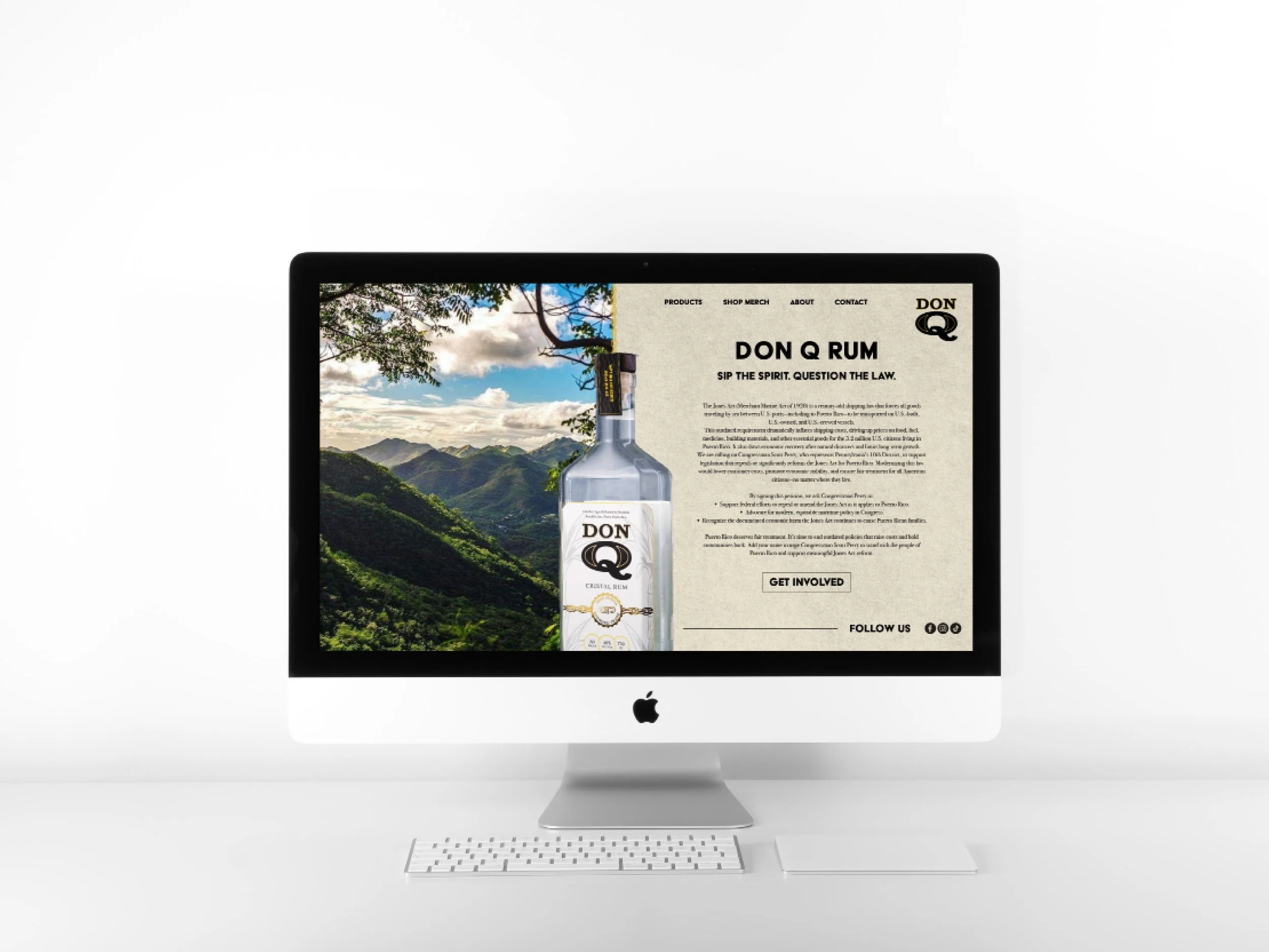 Portfolio_Template  web21.jpg