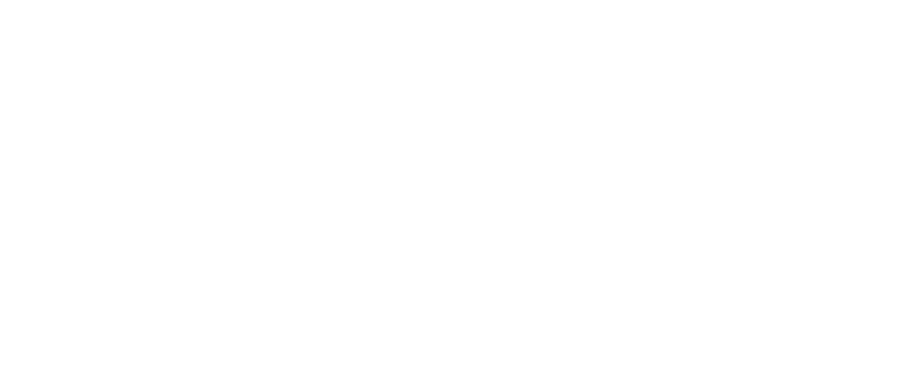 Building Lynx