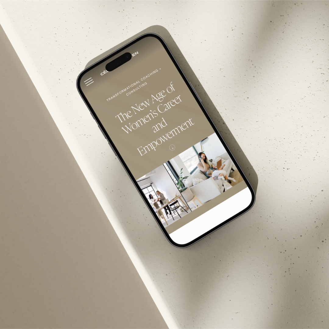 SDS portfolio (1).png