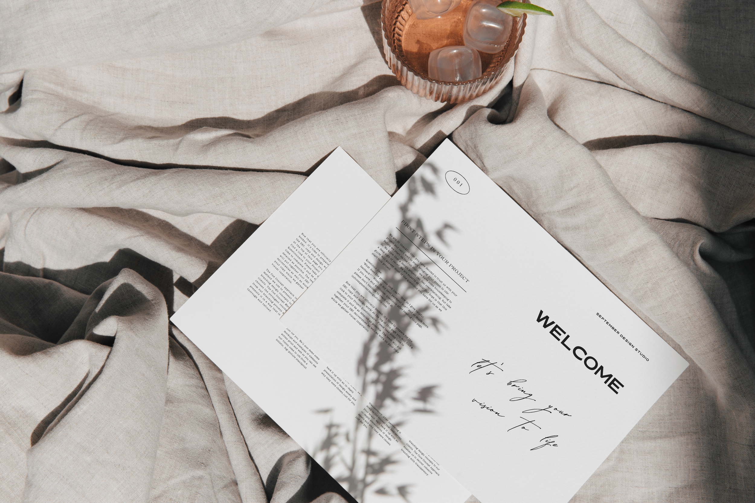 An open brochure lying on beige fabric with black handwritten and printed text, with a shadow of a plant leaf cast on it. A small round pink container with a leaf and an ice cube tray with ice cubes is in the top right.