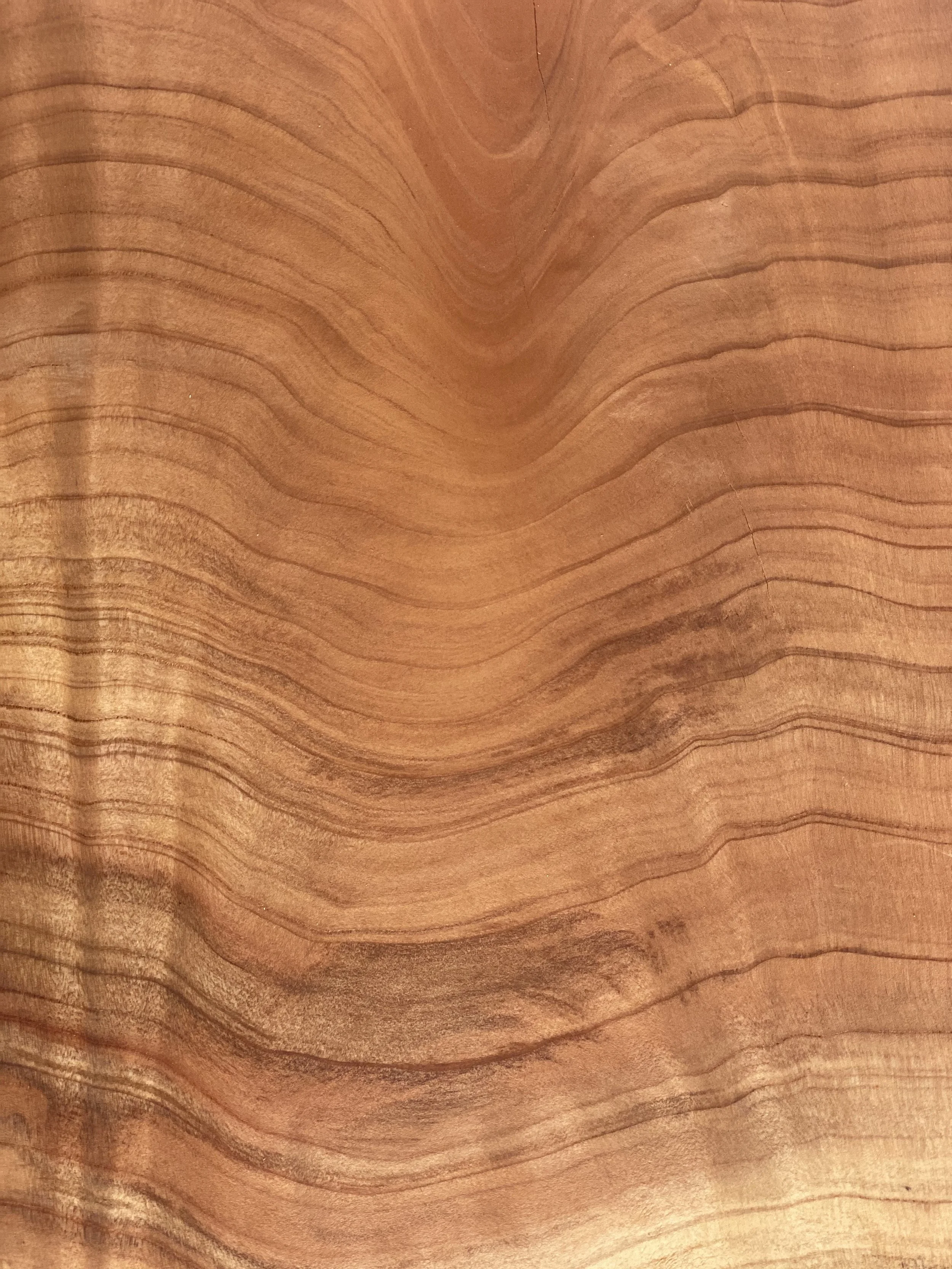 redwood-wood-grain-2026-01-06-09-03-43-utc.jpg