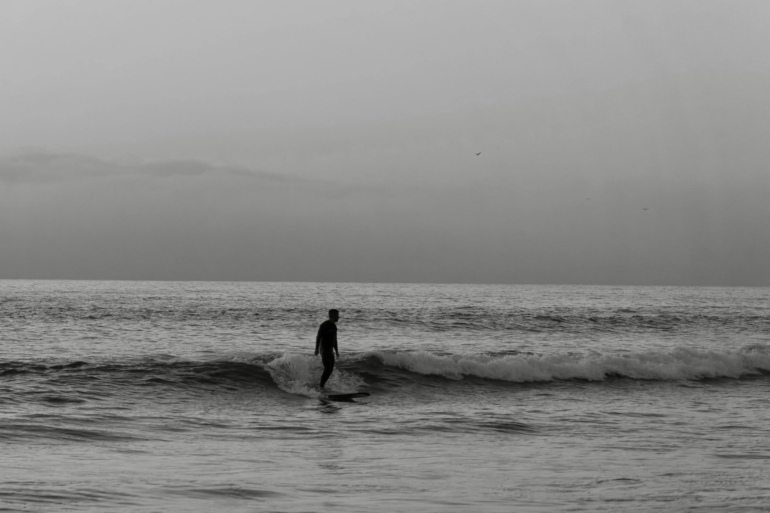 black and white surfing