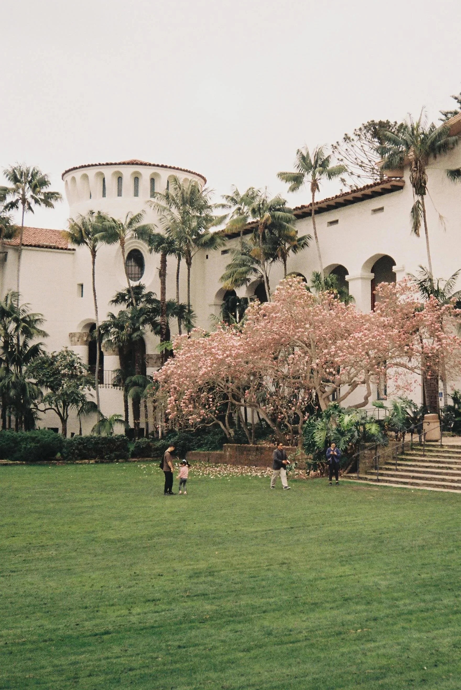 santa barbara courthouse big green lawn palm trees