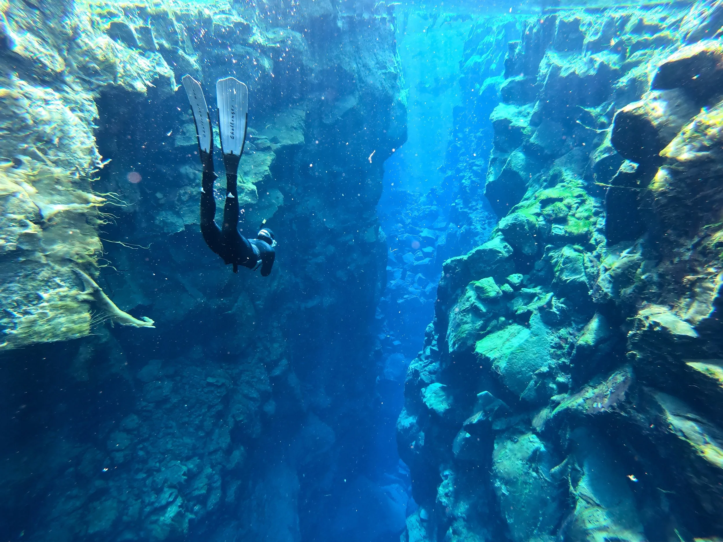 Thomas Dohm freediving head-first between tectonic plate walls at Silfra, Iceland.