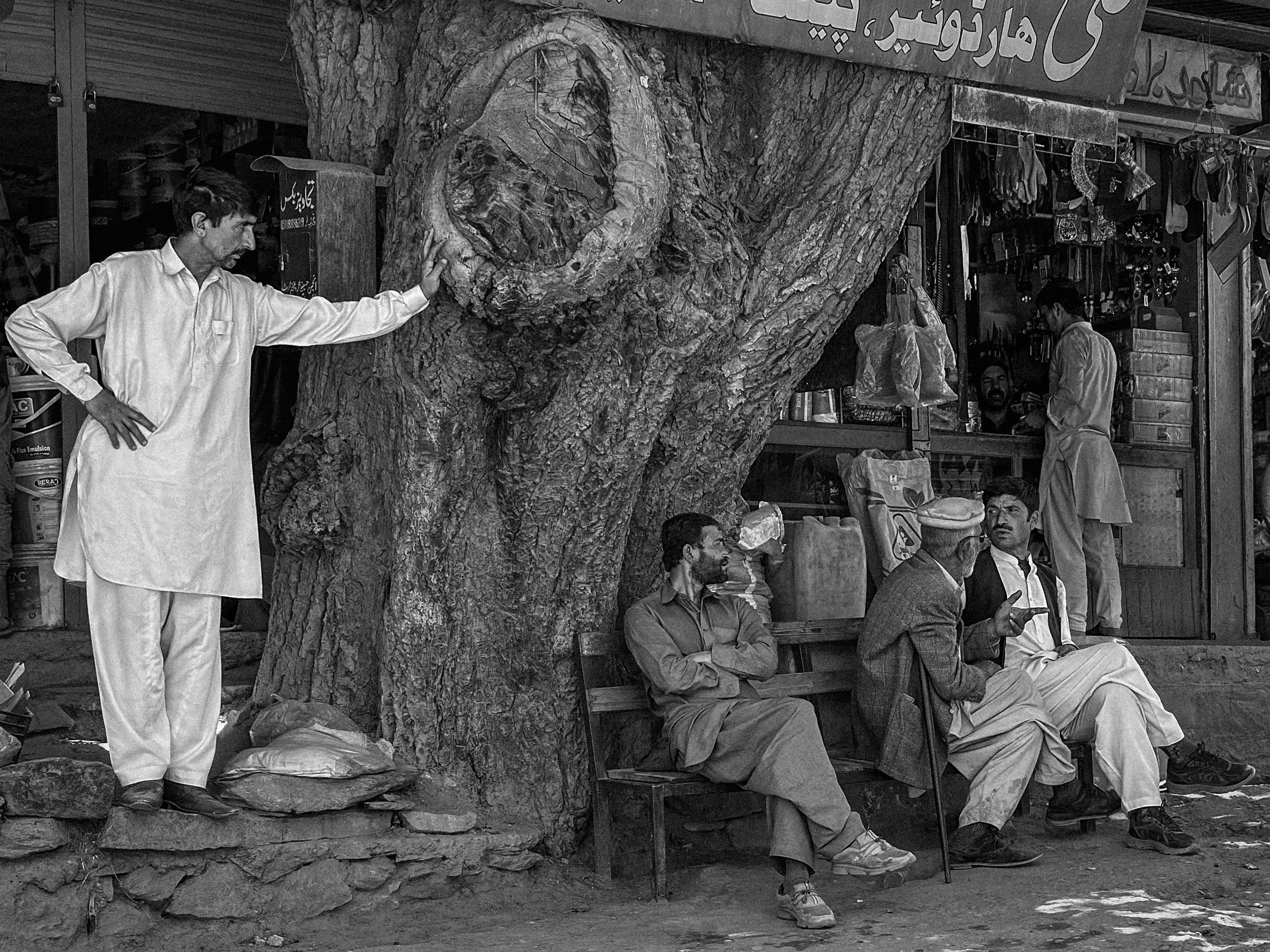 Men gathered under a gnarled tree outside shops in Hunza Valley, Pakistan. Black and white. Photography by Thomas Dohm.
