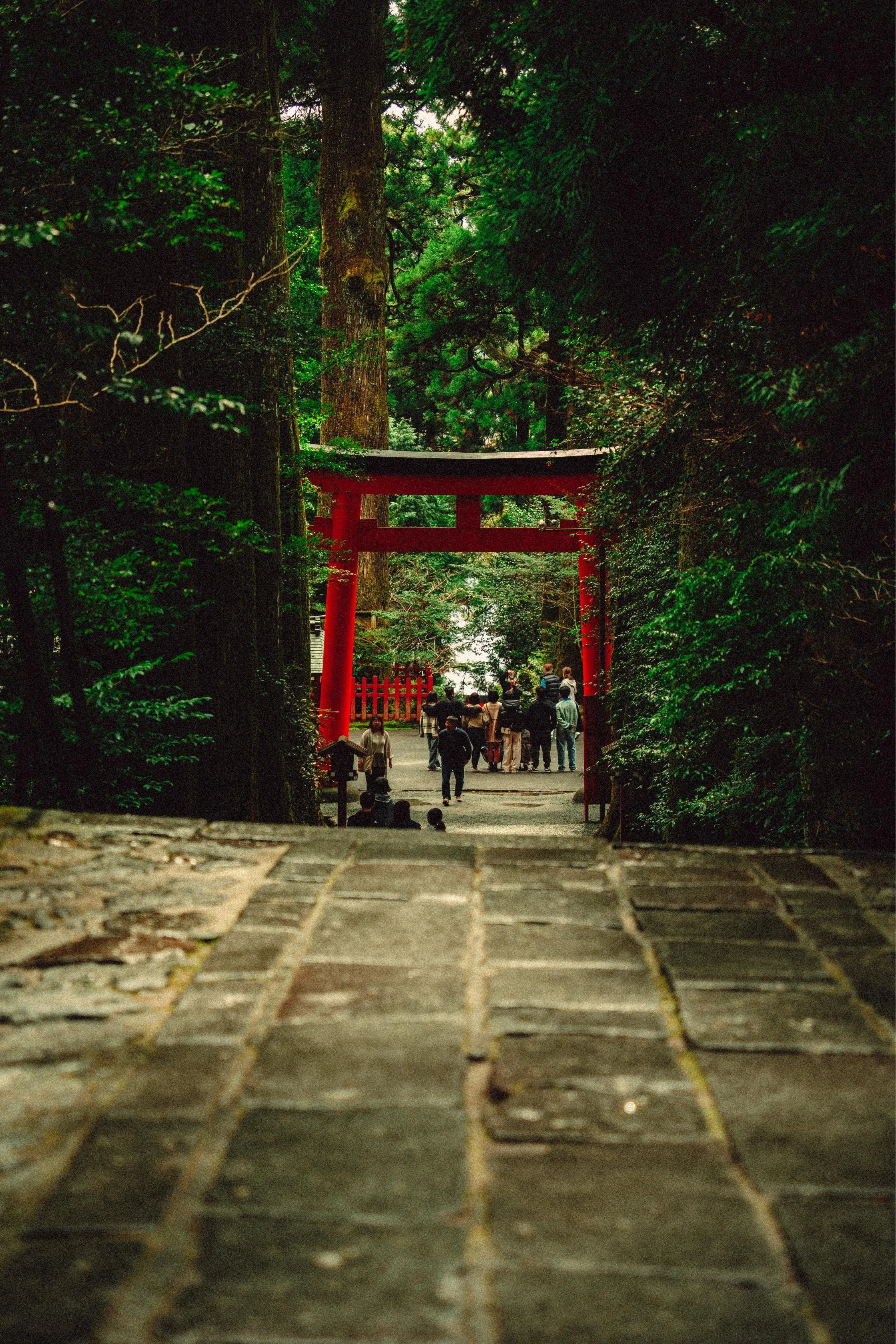 People walking through a wooded area with a red torii gate in the background.