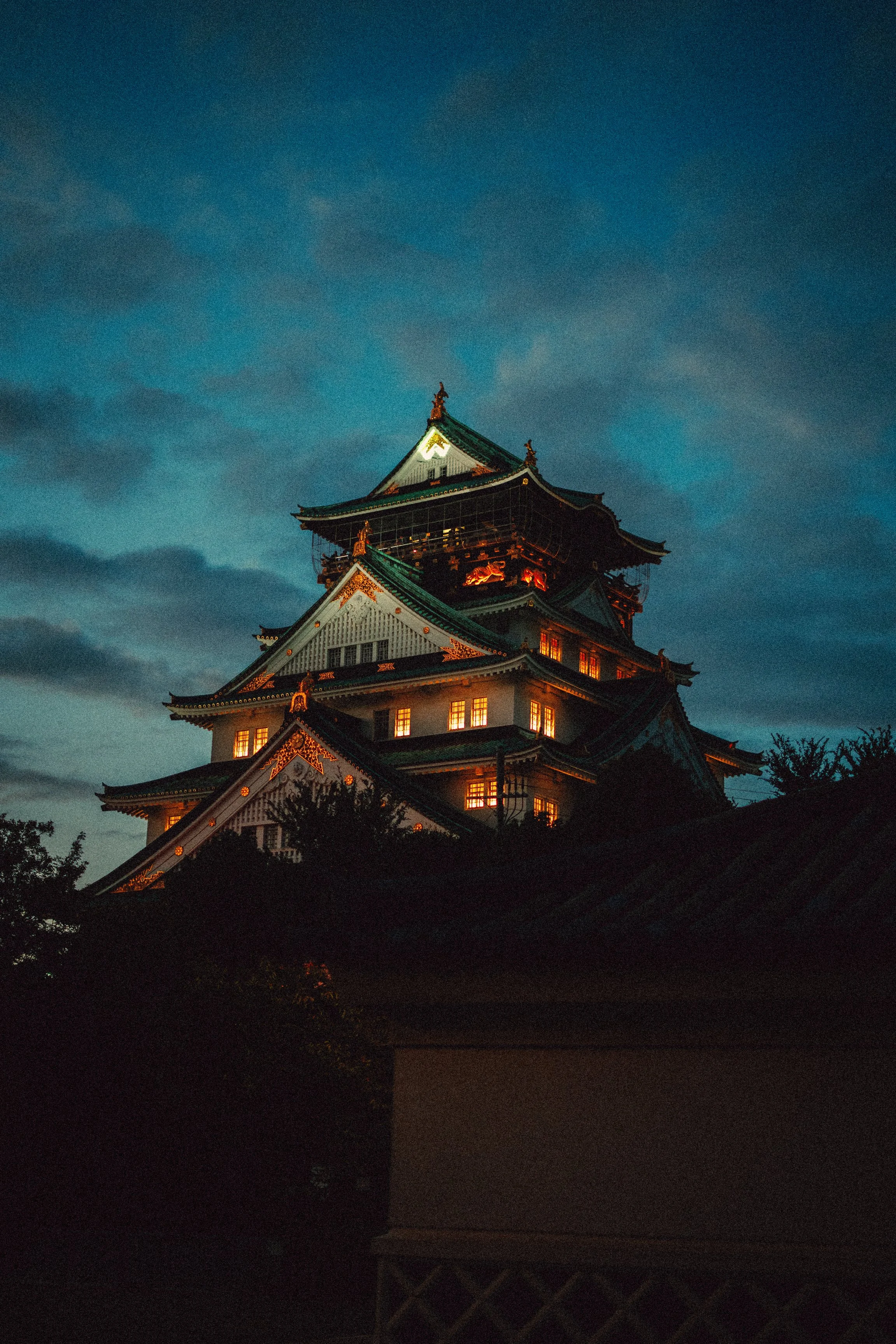 Traditional Japanese castle illuminated at night against a dark sky.
