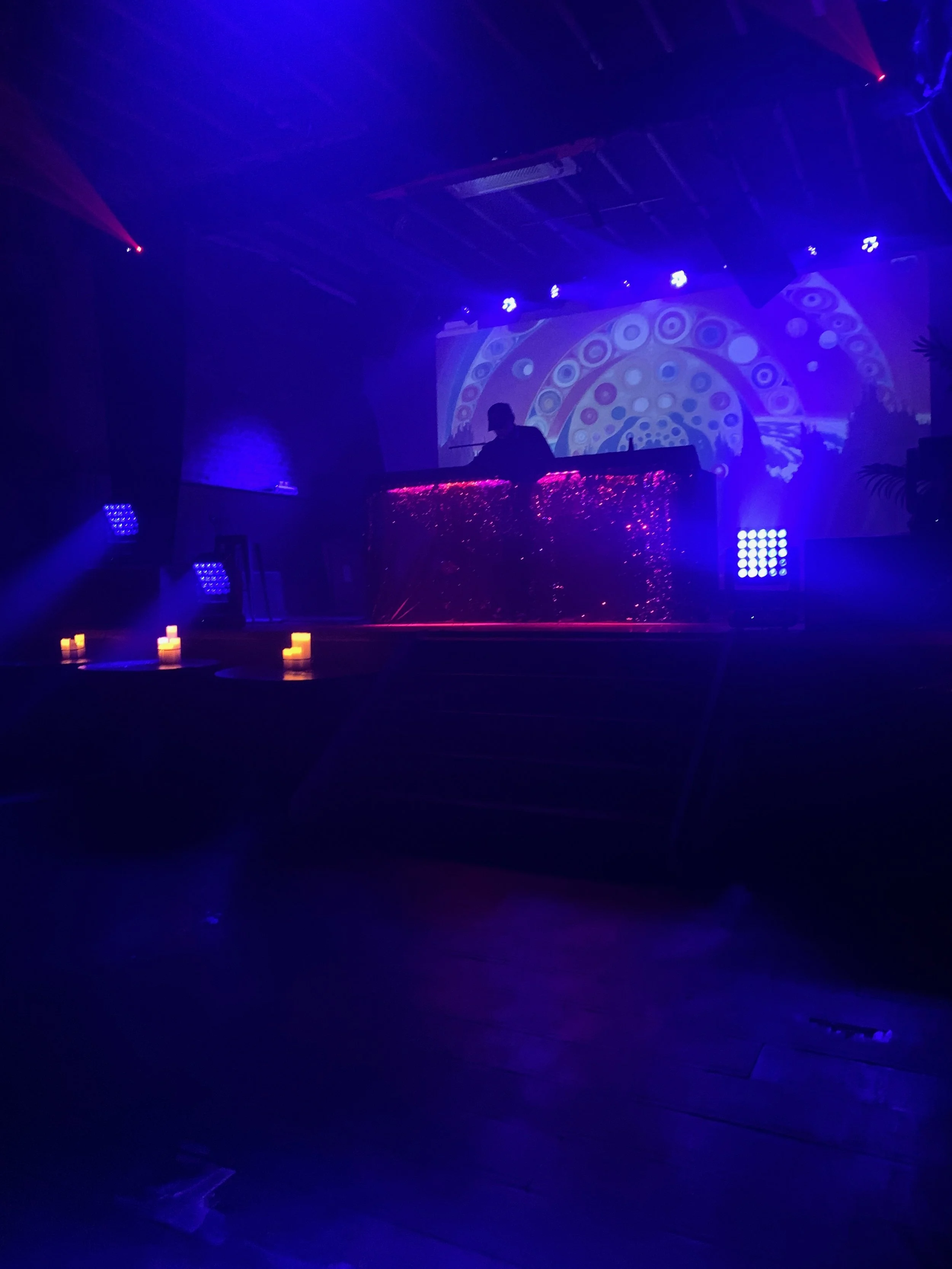 A dimly lit indoor nightclub scene with blue and purple lights, a DJ booth with a person behind it, a large patterned backdrop, candles on the floor, and some plants on the side.