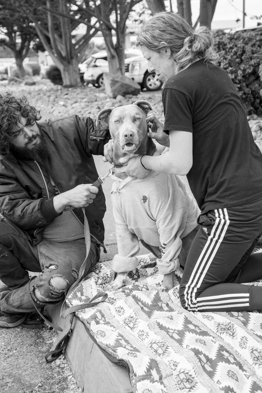 Kumler_Street Dogs-6165-4.jpg
