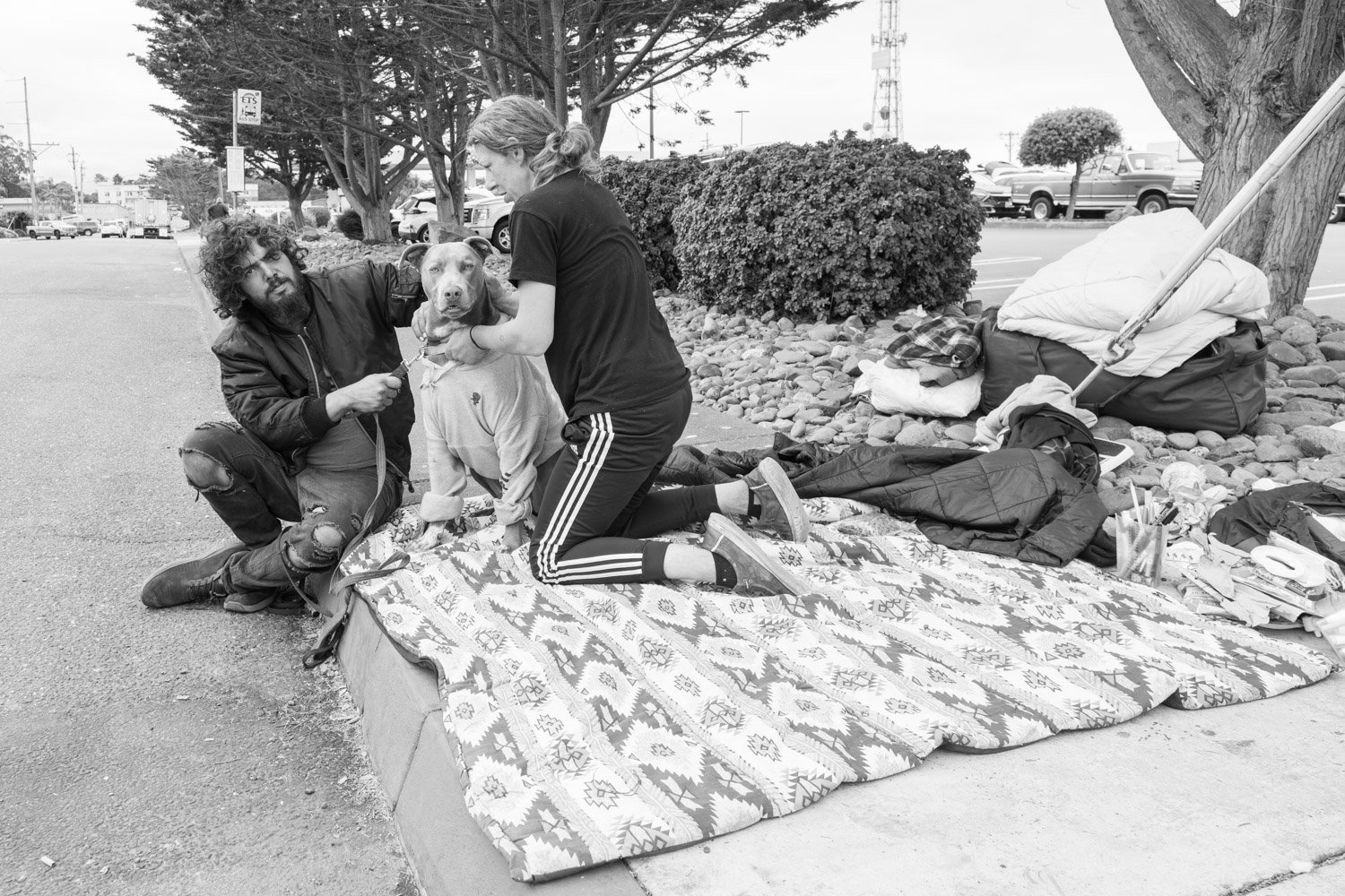 Kumler_Street Dogs-6164-2.jpg