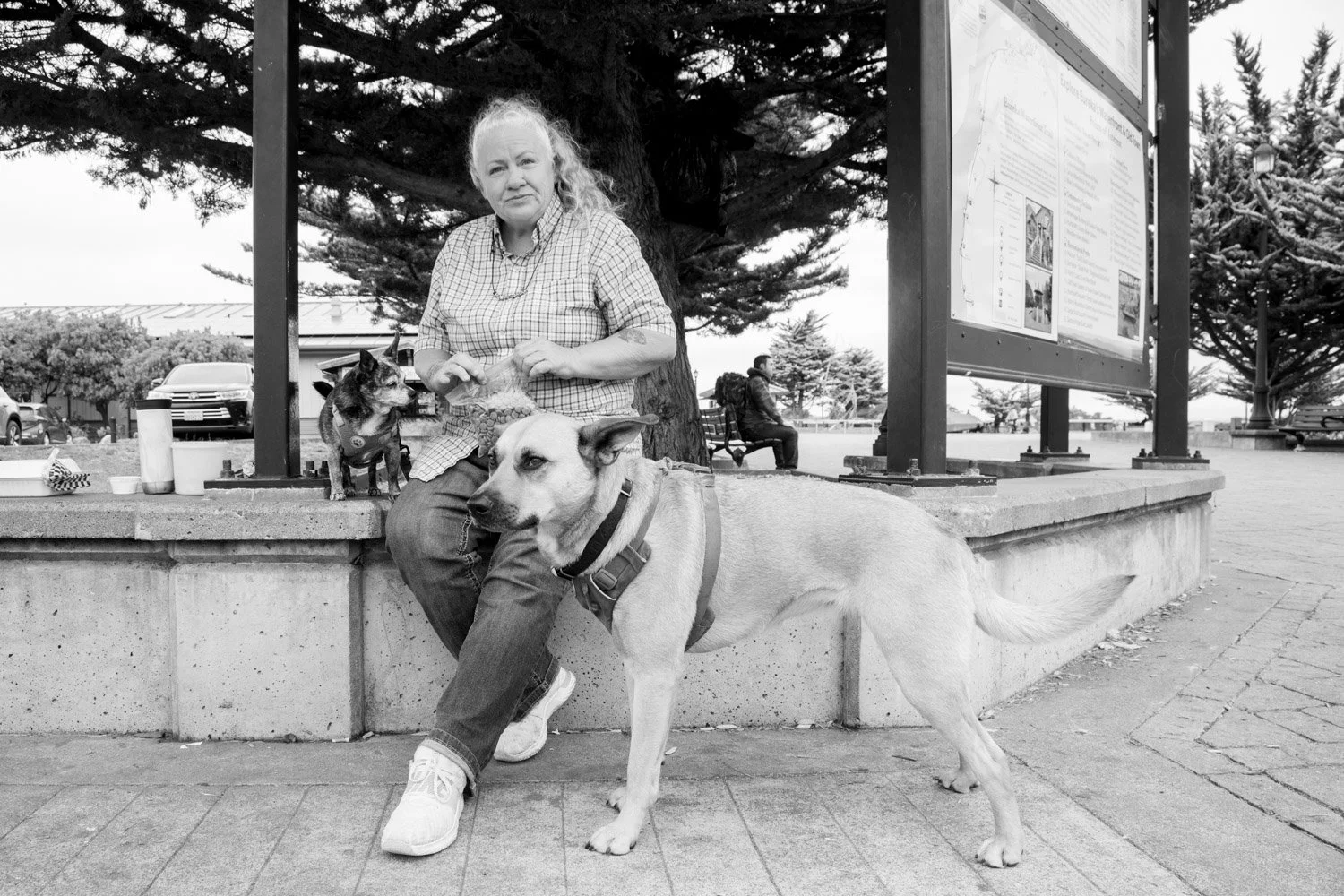Kumler_Street Dogs-6190-3.jpg