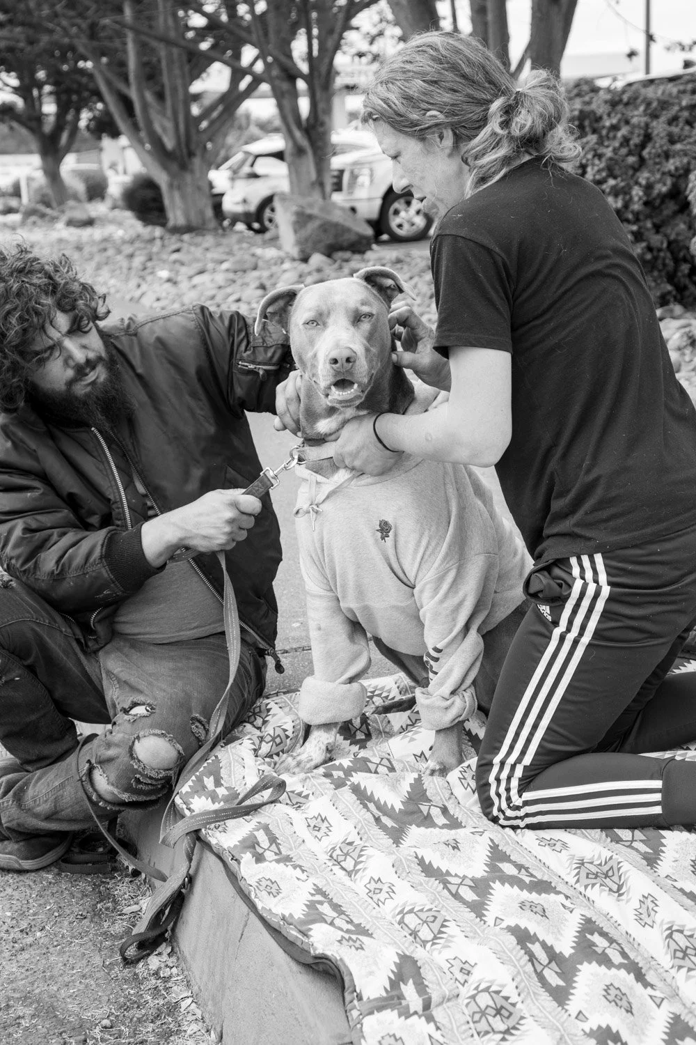 Kumler_Street Dogs-6165-3.jpg