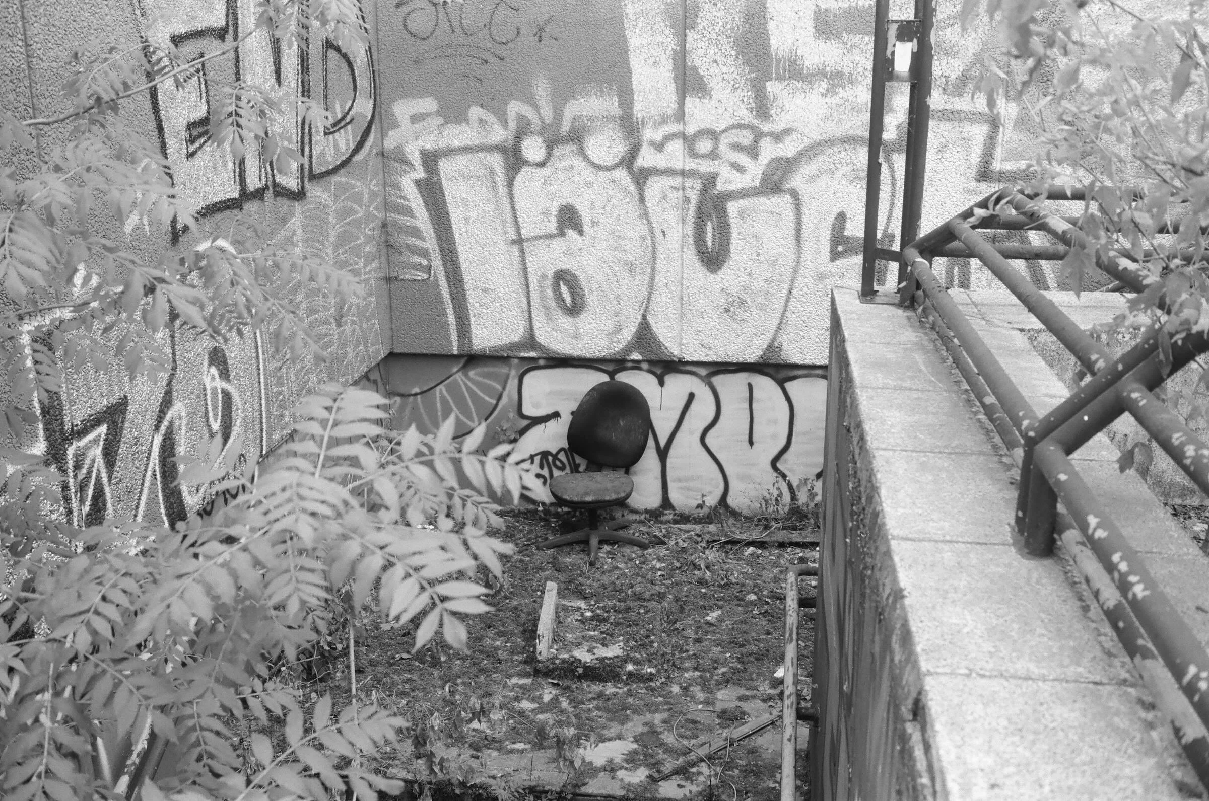 BER23'12.jpeg
