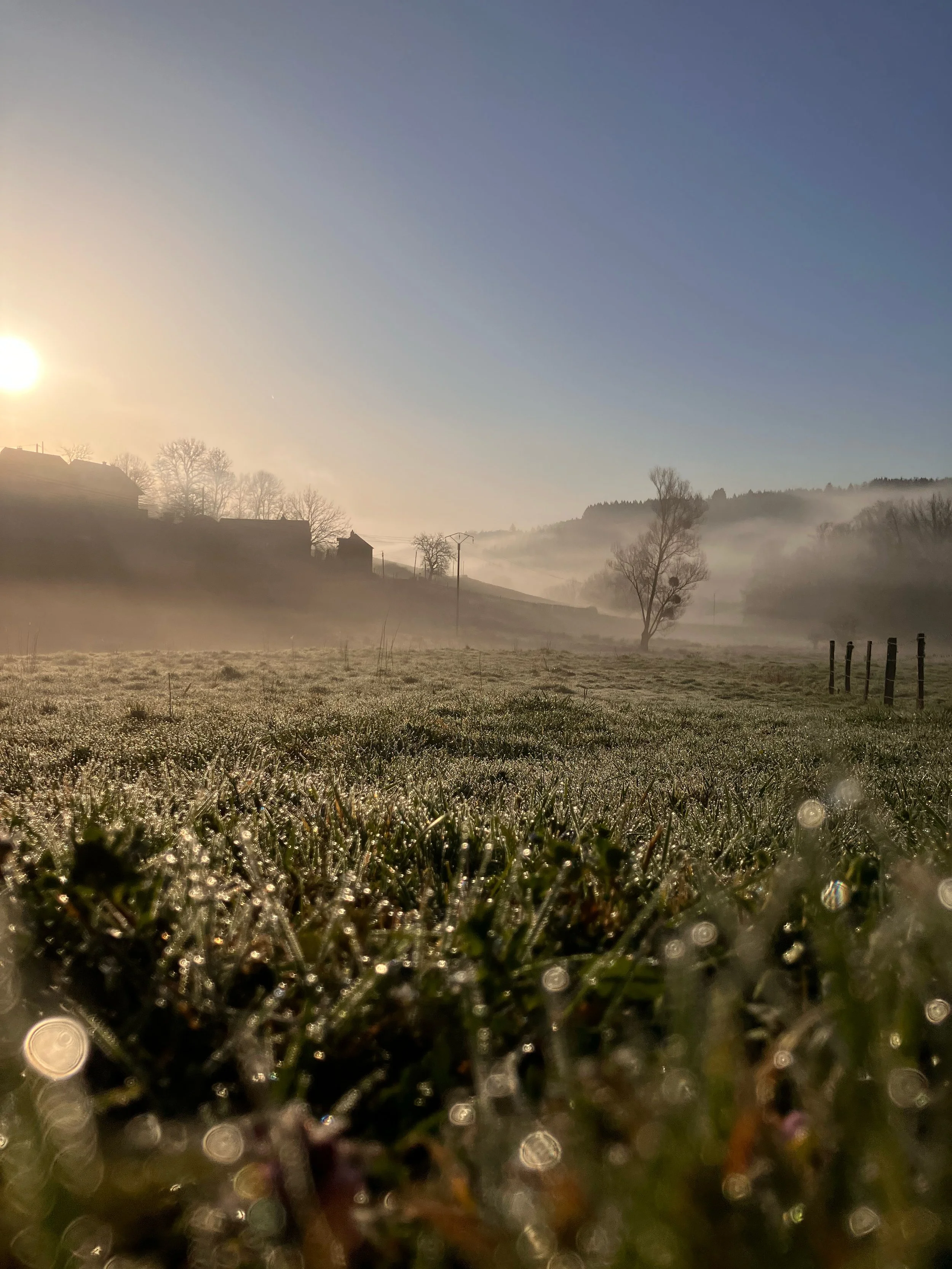 Morning scene of a foggy field with dew-covered grass, trees, houses, and hills in the background under a clear sky with the sun shining