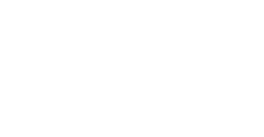 Empty white space with no visible objects or scenery.