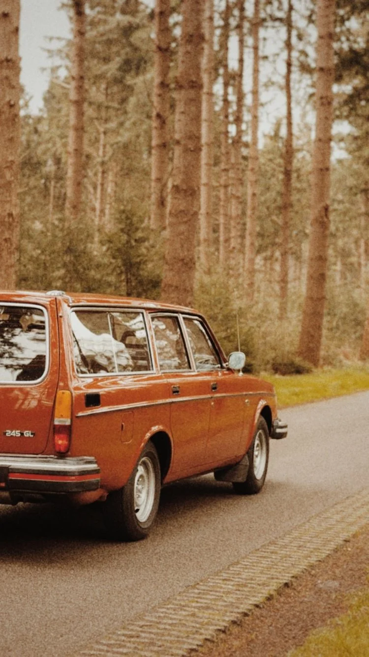 An orange vintage station wagon parked on the side of a rural road with a forest of tall pine trees in the background.