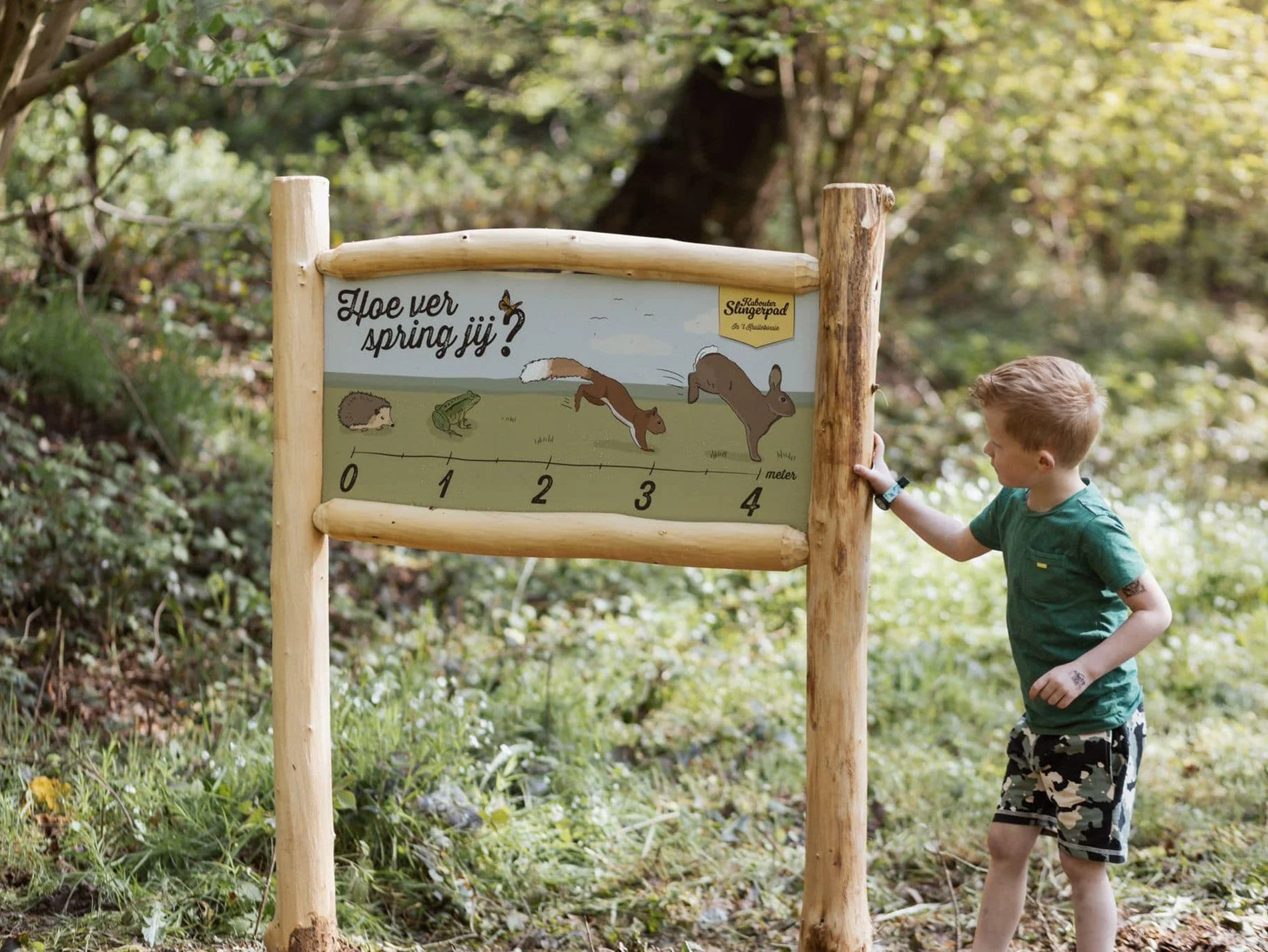 A young boy in a green shirt and camouflage shorts standing outdoors in a forest, pointing at an educational signboard with illustrations of animals and a measurement scale.