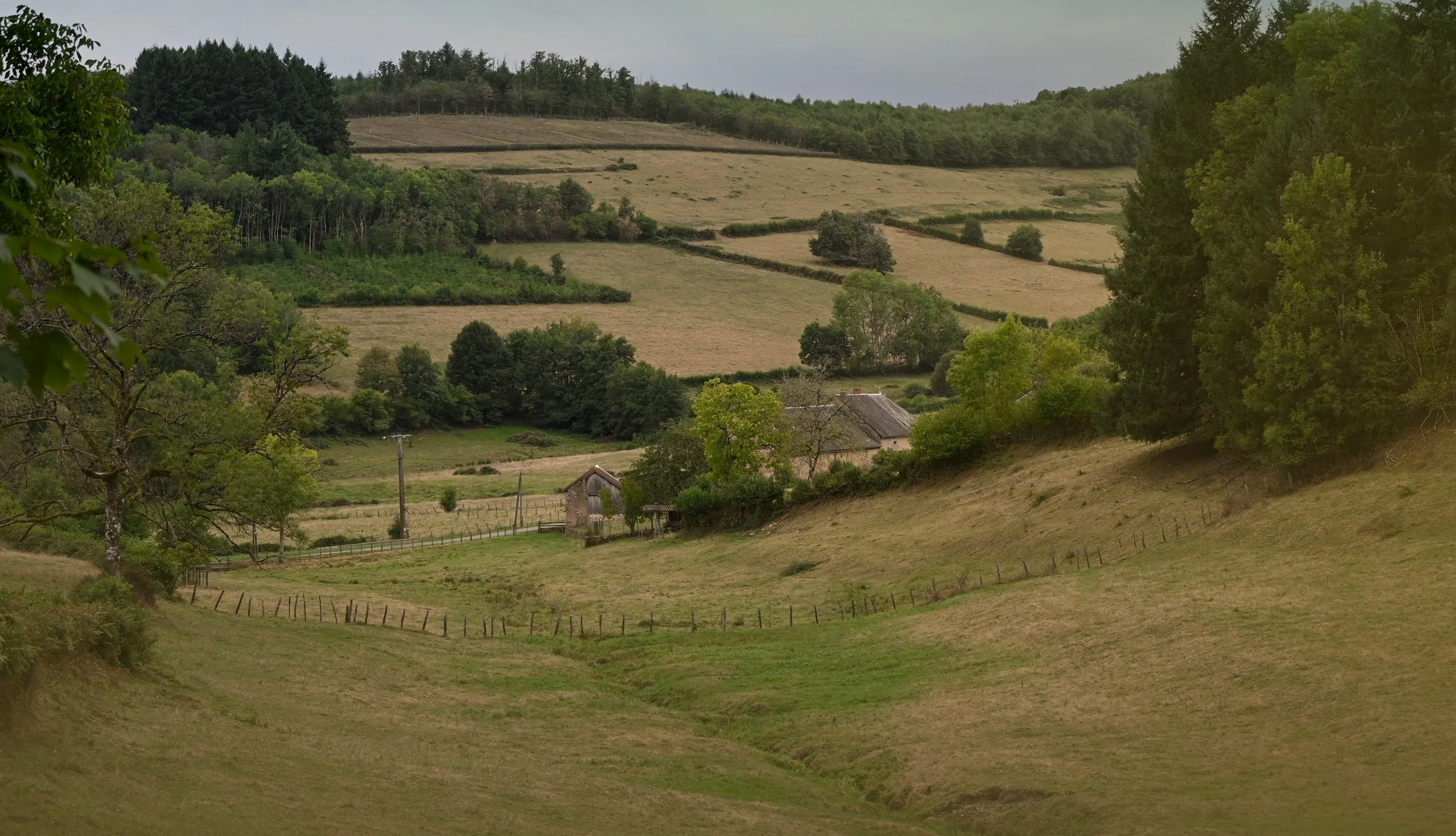 Scenic view of rolling hills with patches of trees, fences, and a small farmhouse surrounded by greenery.