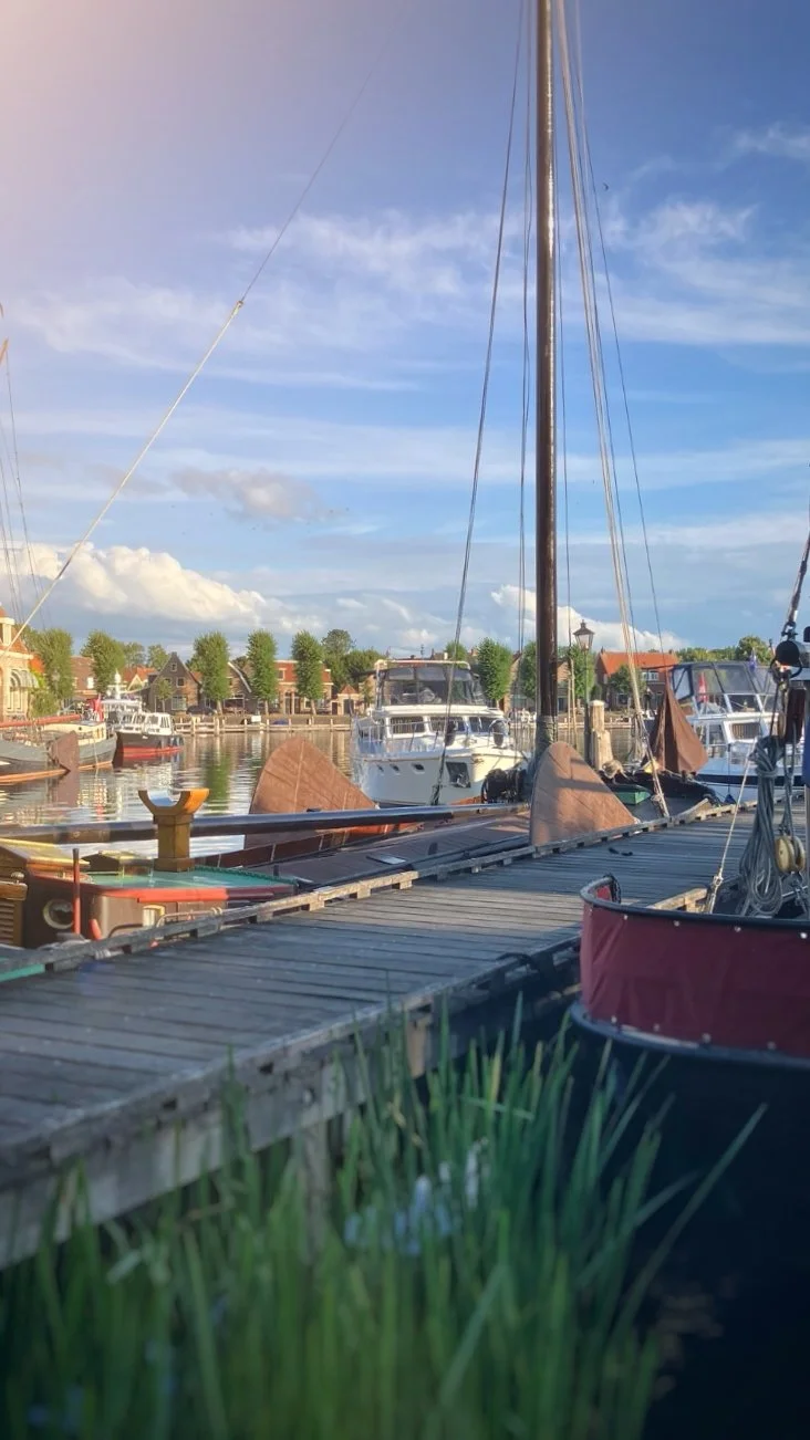 Boats docked at a marina with houses and trees in the background, under a partly cloudy sky.