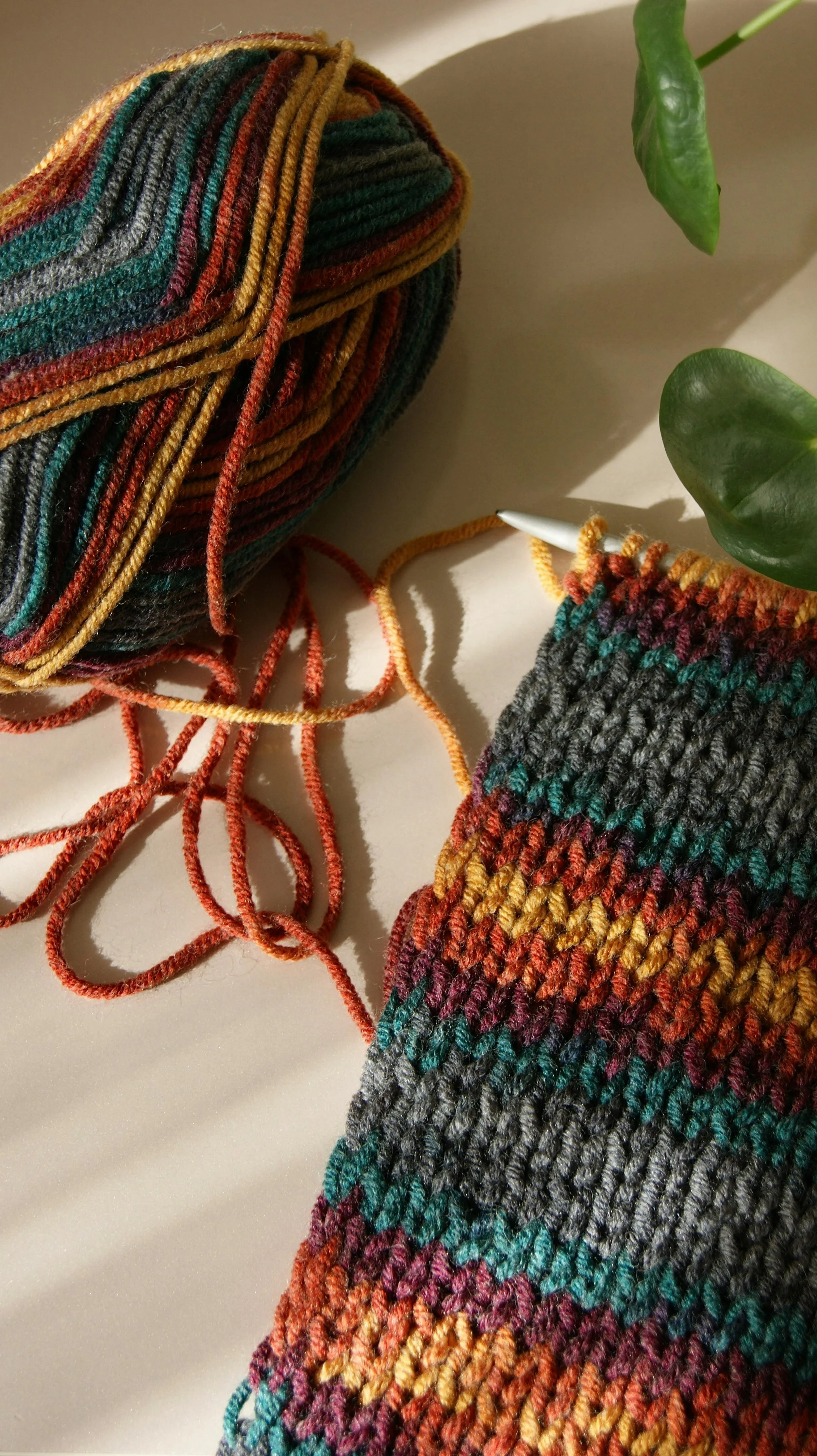 A ball of multicolored yarn and a partially knitted sock with rainbow stripes on a white surface near green leaves.