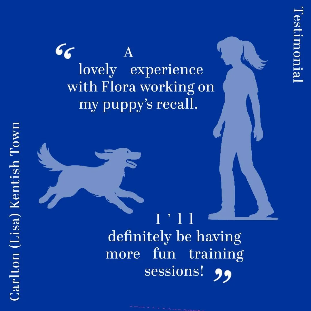 Thank you to Lisa (and Carlton) for these kind words!

#dogtraining #dog #london ##dogtraıner #dogsofinstagram