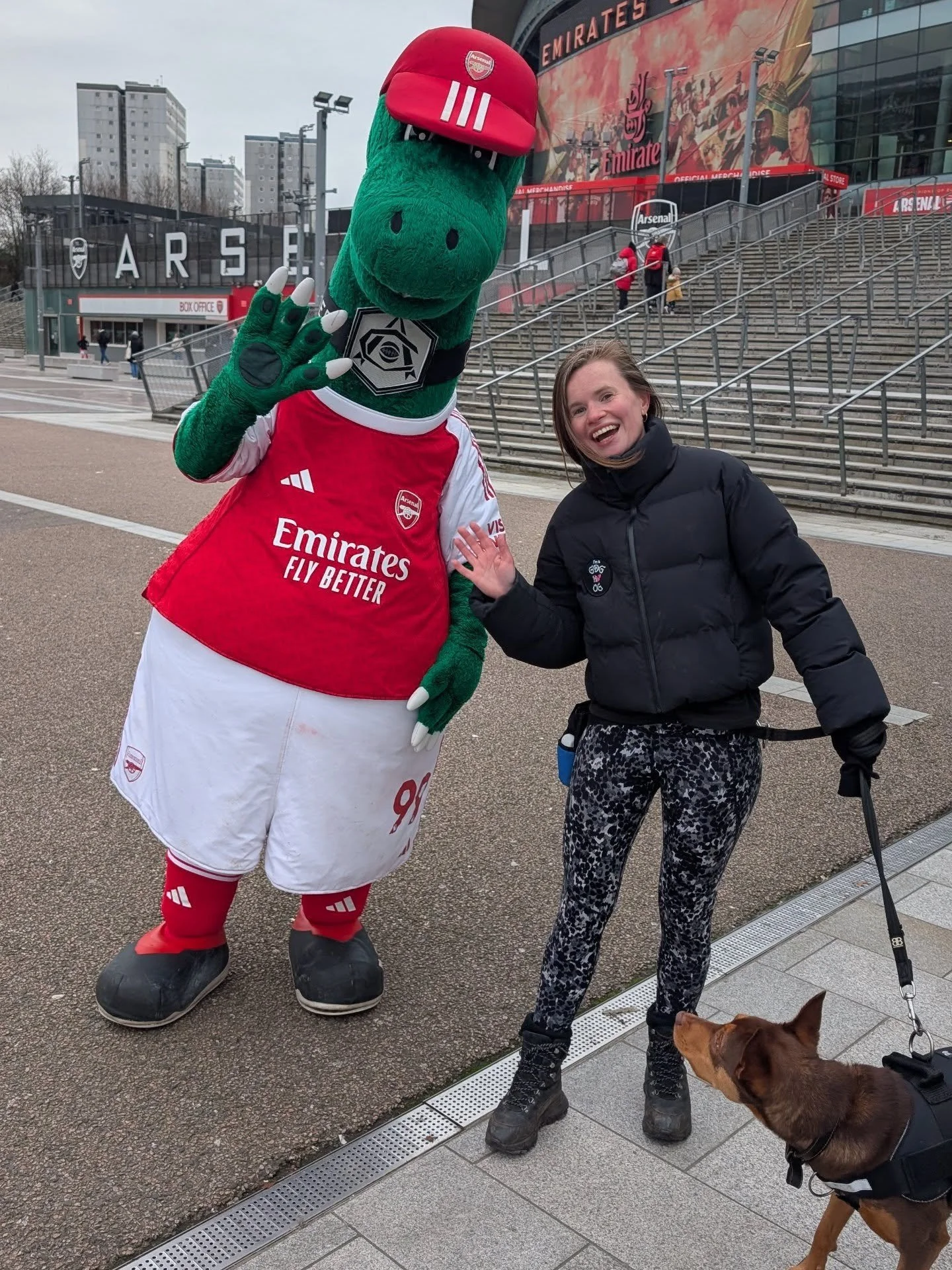 Crazy who you meet while out training!

#dogtraineruk #londondogs #arsenalfc #dogtraining