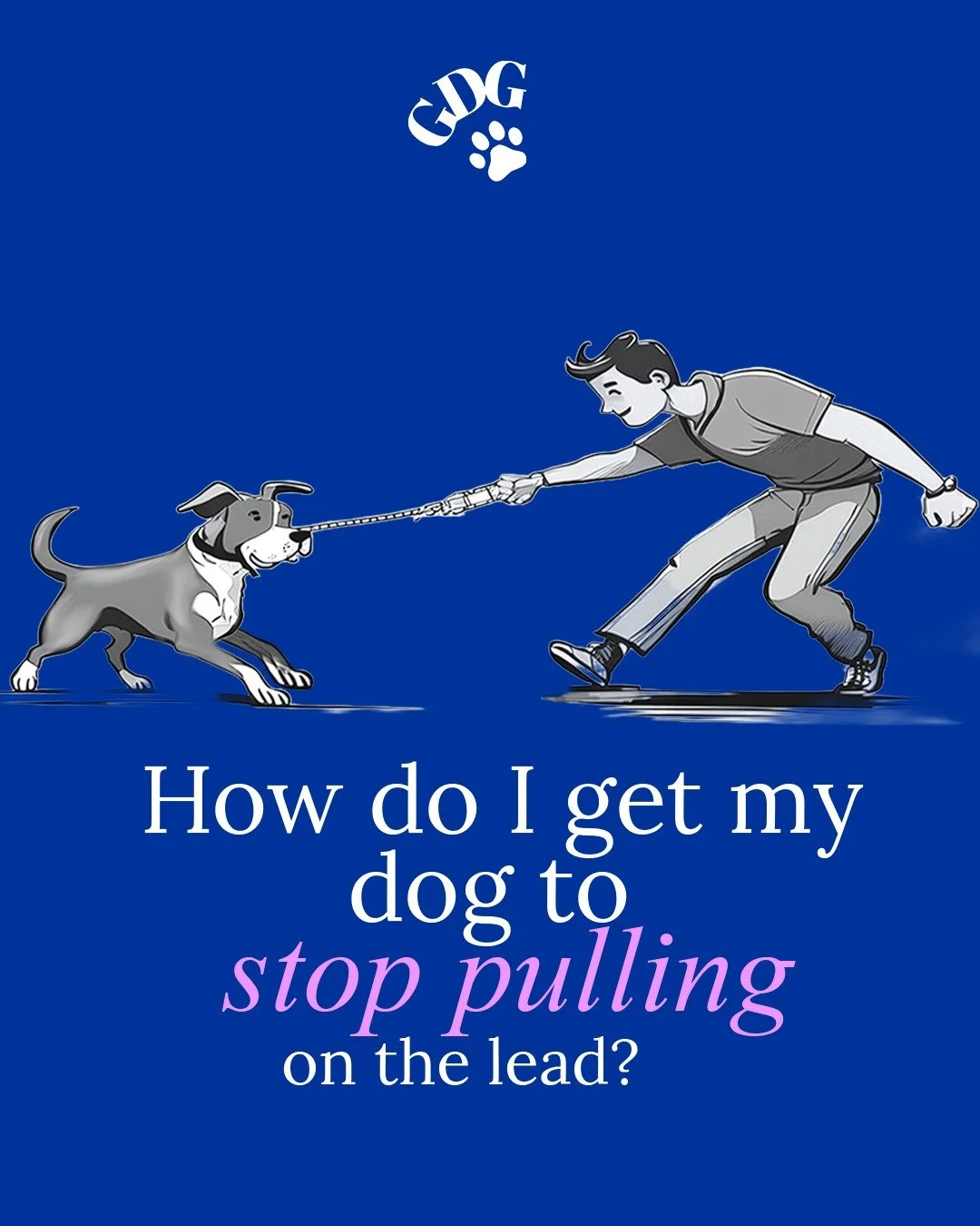 The eternal question!

#dogtrainer #londonlife #dogsofinstagram #dogsoflondon #looseleadwalking