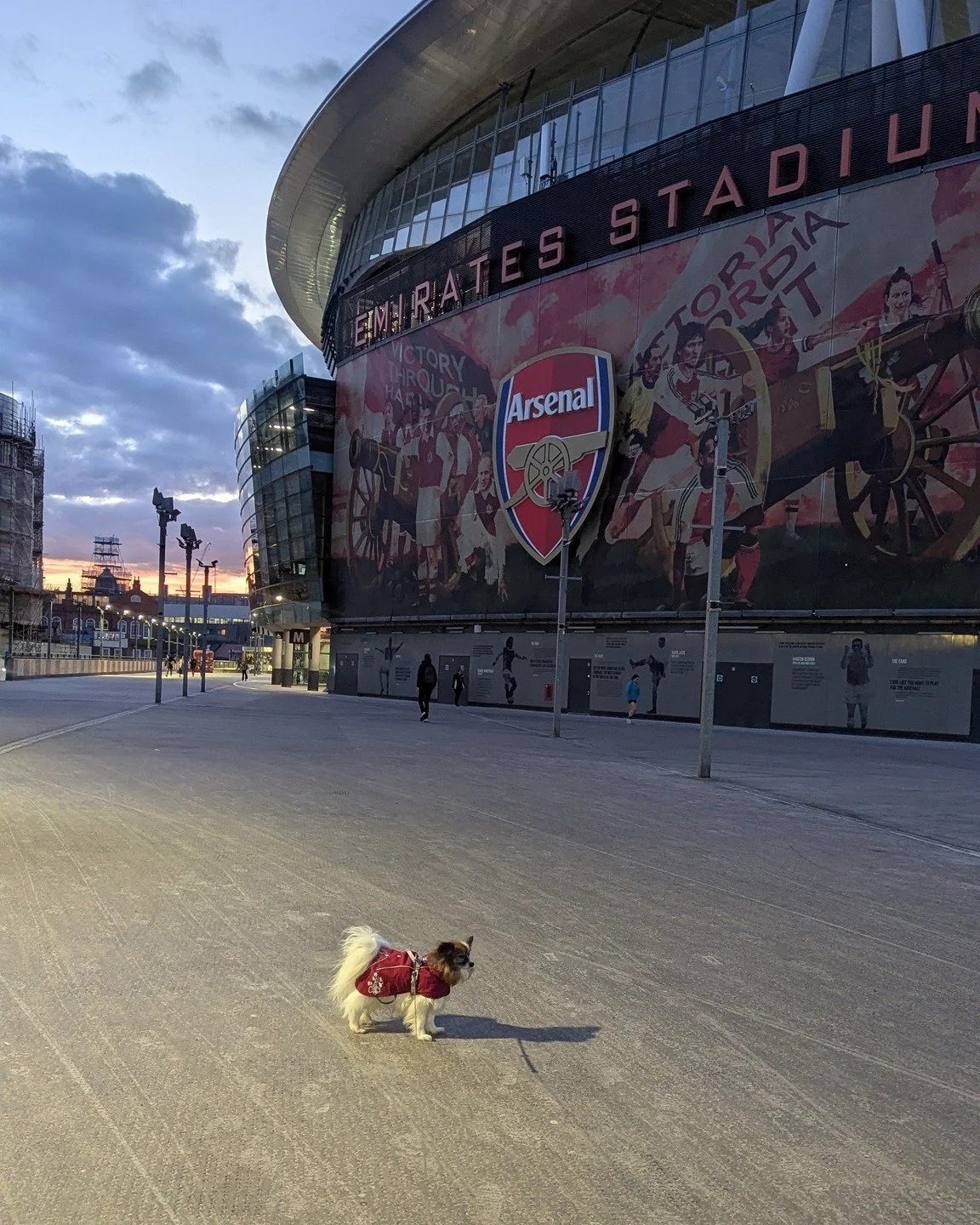Back to the Emirates tonight...where GDG (and Arsenal) belong! COYG!!

❤️&zwj;🔥❤️&zwj;🔥❤️&zwj;🔥❤️&zwj;🔥❤️&zwj;🔥❤️&zwj;🔥❤️&zwj;🔥

#dogtrainer #forcefreedogtraining #Arsenal #dogsofinstagram #london