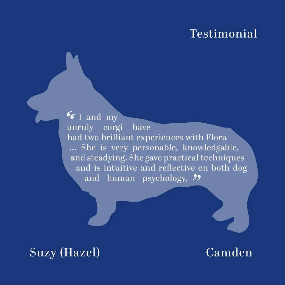 Thank you to my wonderful clients. Reviews like this are so rewarding! (Also gotta love a Corgi...how can you not??)

Book a free enquiry for your dog via the link in bio🐕💕

#dogsofinstagram #londondogtraining #dogsoflondon #DogTrainer #corgisofins