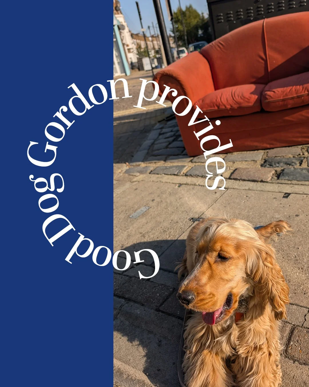 RSPCA Recommended. 1:1 force-free Training, tailored to you and your dog. 

Free 20-minute enquiry call. Link in bio.

#dogtrainer #forcefreedogtraining #doglover #dogsofinstagram
