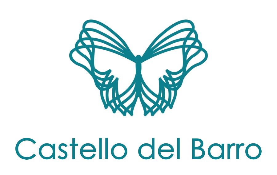 A logo featuring a stylized butterfly made of overlapping lines above the text 'Castello del Barro'.