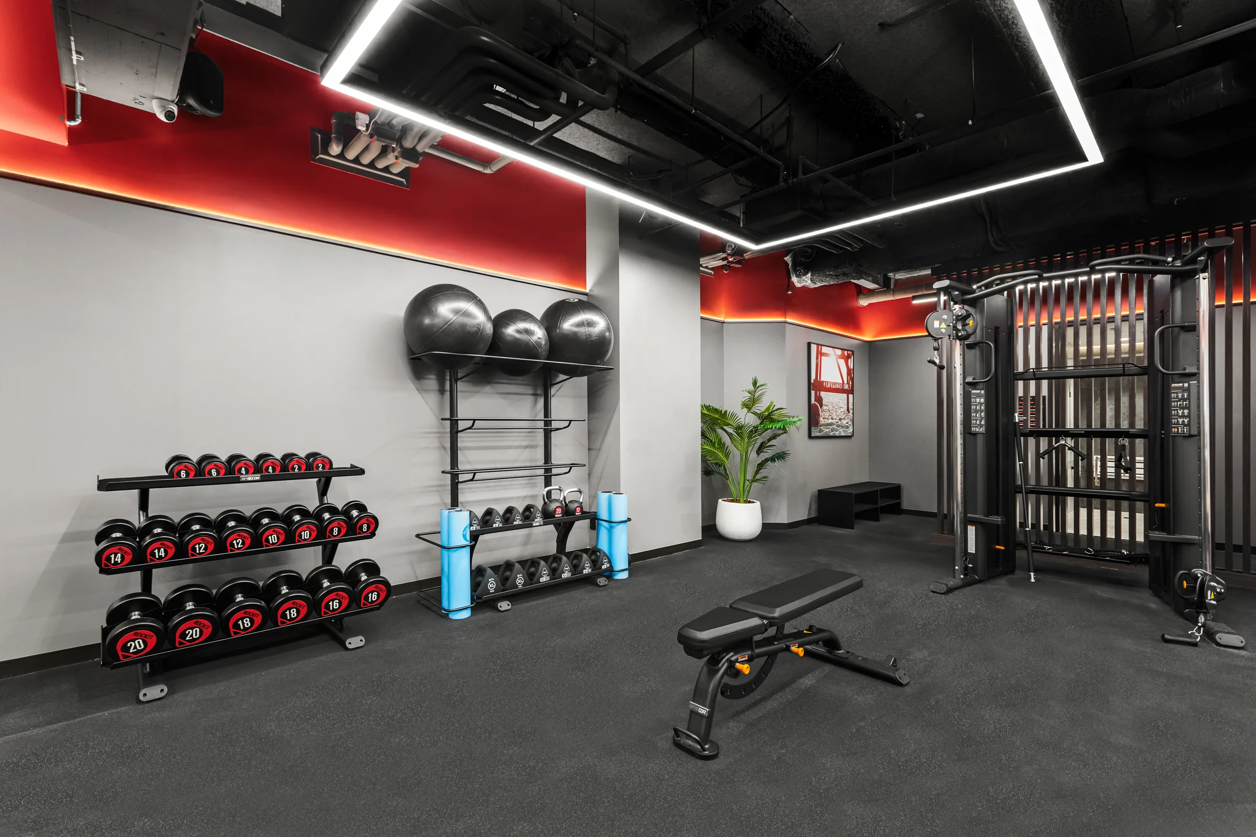 Fitness Centre Equipment.webp