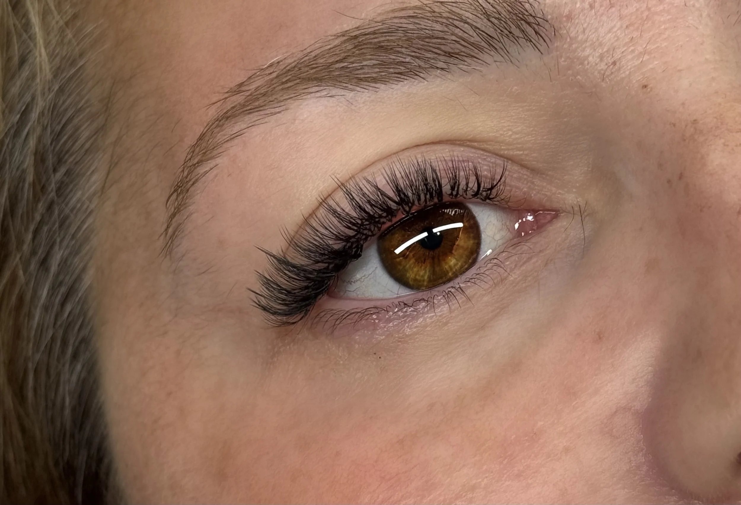 Gros plan d'un œil humain brun avec cils longs et courbés, sourcils bien taillés, peau claire et lisse, reflet de lumière sur la pupille.
